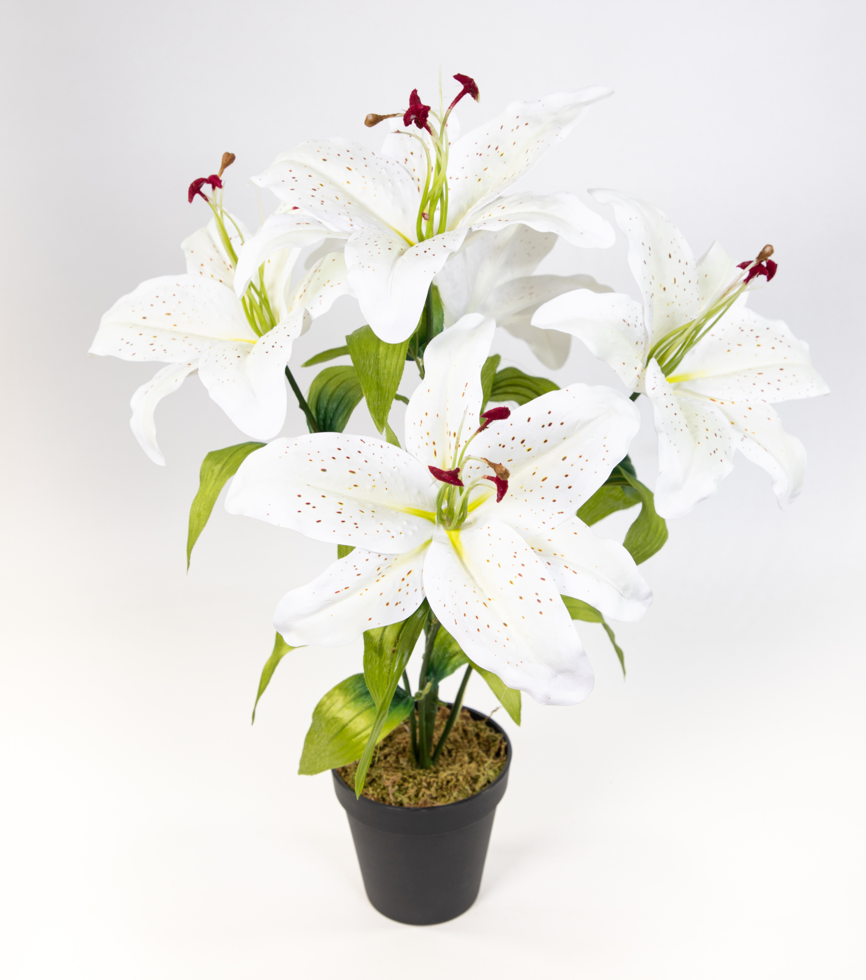 Lilie Real Touch 50cm weiß im Topf DP Kunstblumen Kunstpflanzen künstliche Blumen Pflanze
