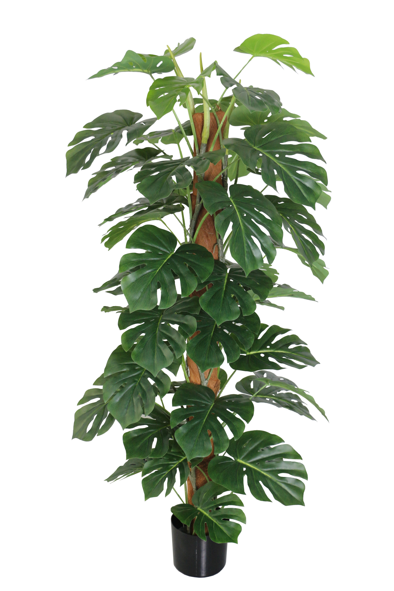Splitphilo am Kokosstamm 150cm LA künstlicher Baum Kunstbaum Kunstpflanze künstliche Pflanzen