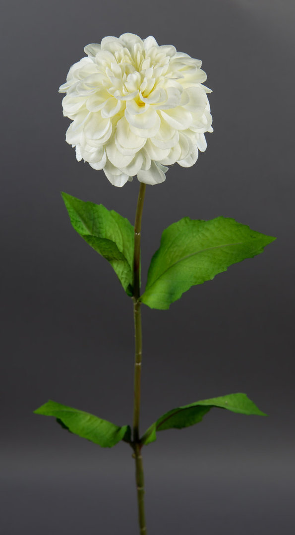 Dahlienzweig 66cm weiß-creme CG Kunstblumen künstliche Dahlienzweig Blumen Seidenblumen