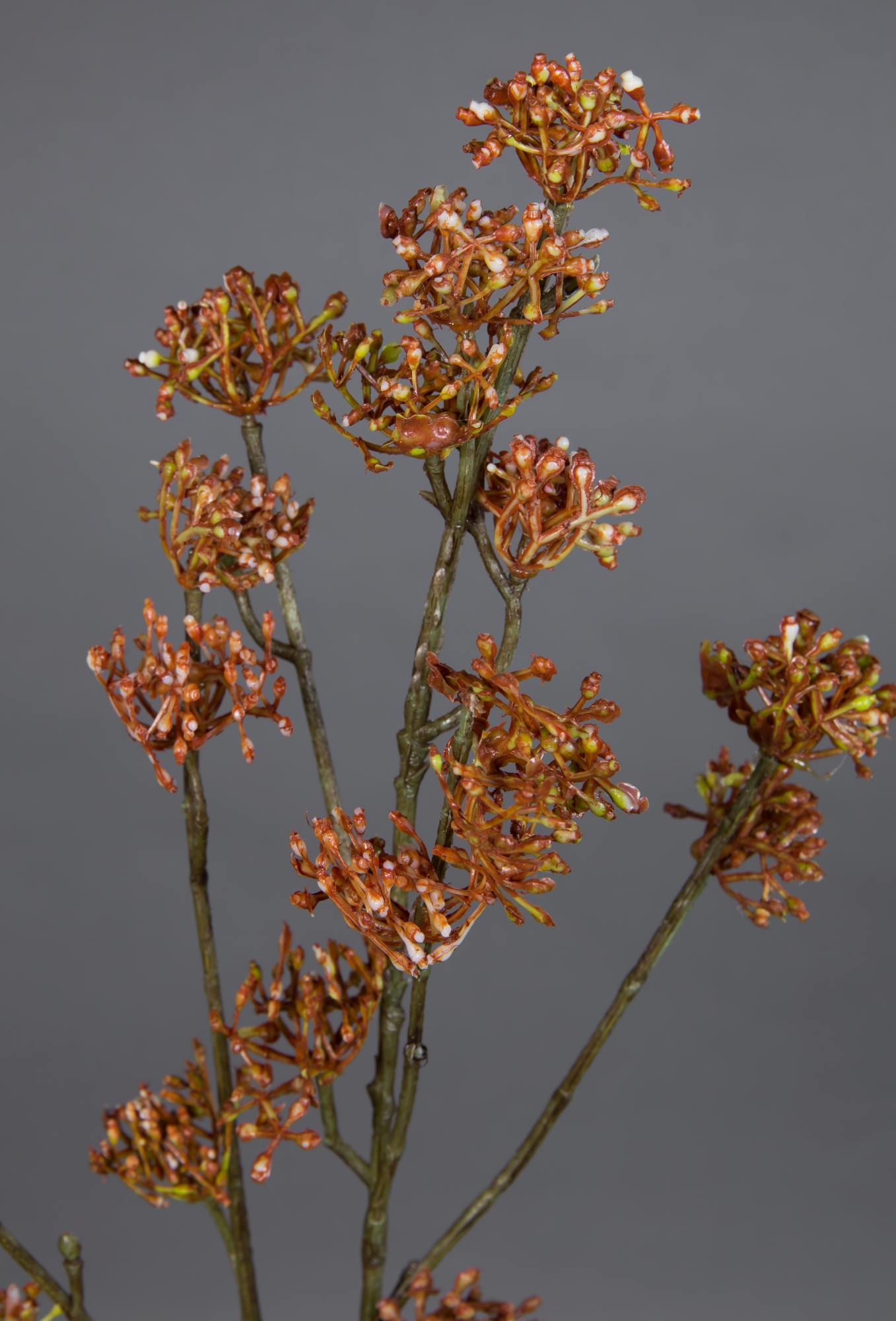 Kunstzweig braun-orange Reiszweig Kunstpflanzen künstlicher Zweig CG 67cm