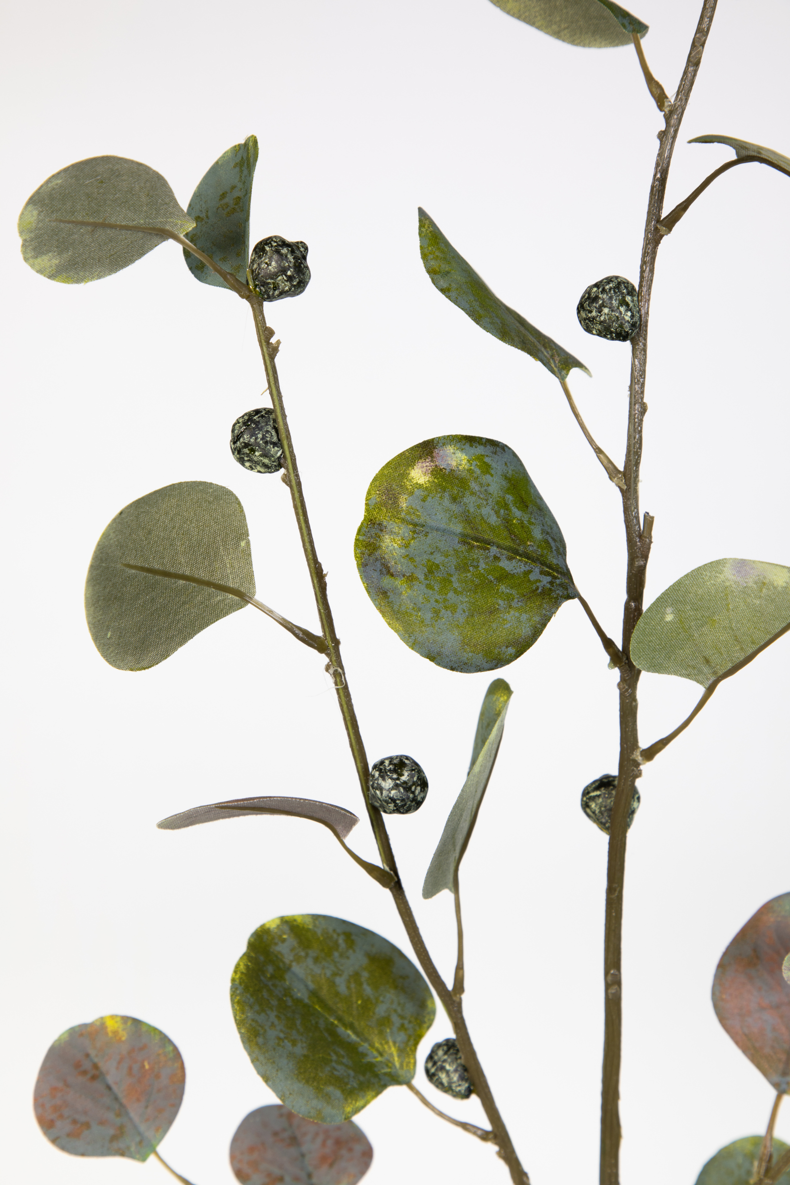 Eukalyptuszweig mit Früchten 110cm JA Kunstzweig künstliche grün Zweige künstlicher Eukalyptus