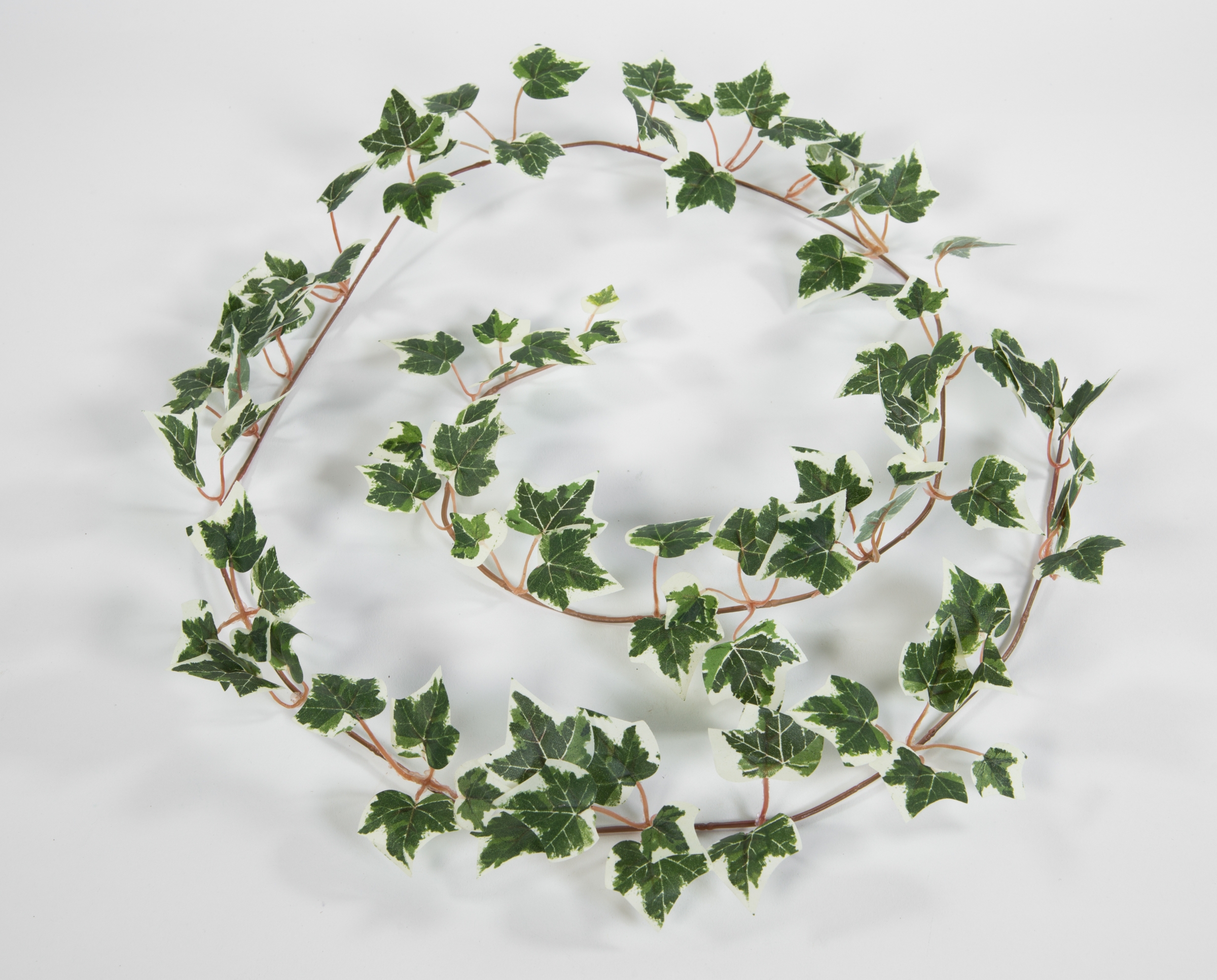 12 Stück - Künstliche Efeugirlande 160cm grün-weiß GA Kunstpflanzen künstliche Pflanzen Girlande
