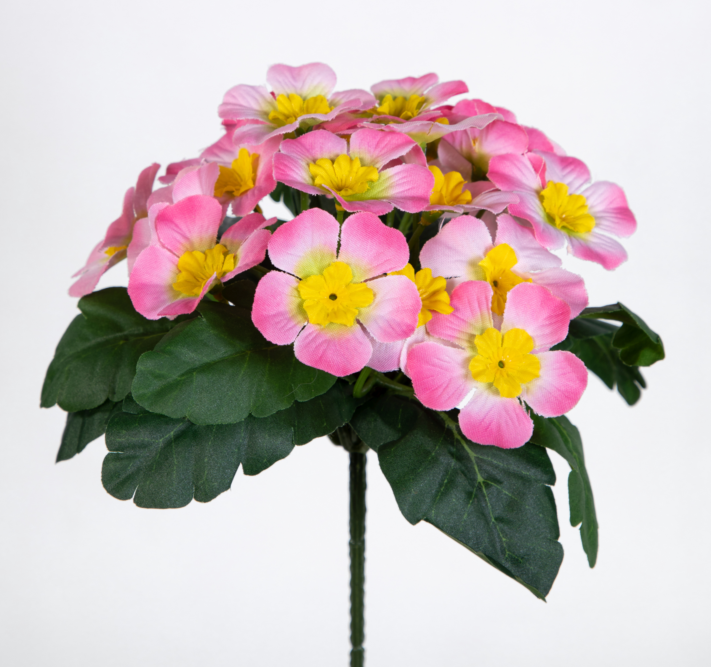 Primelbusch 24x22cm rosa mit 20 Blüten PM Kunstblumen Kunstpflanzen künstliche Primel Schlüsselblume