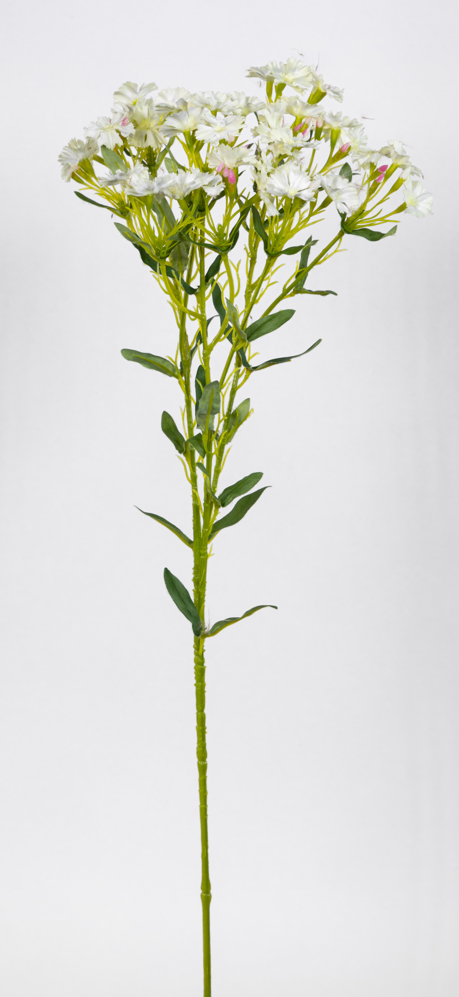 Kartäuser-Nelke / Dianthus 74cm weiß CG Kunstblumen künstliche Blumen Nelkenzweig