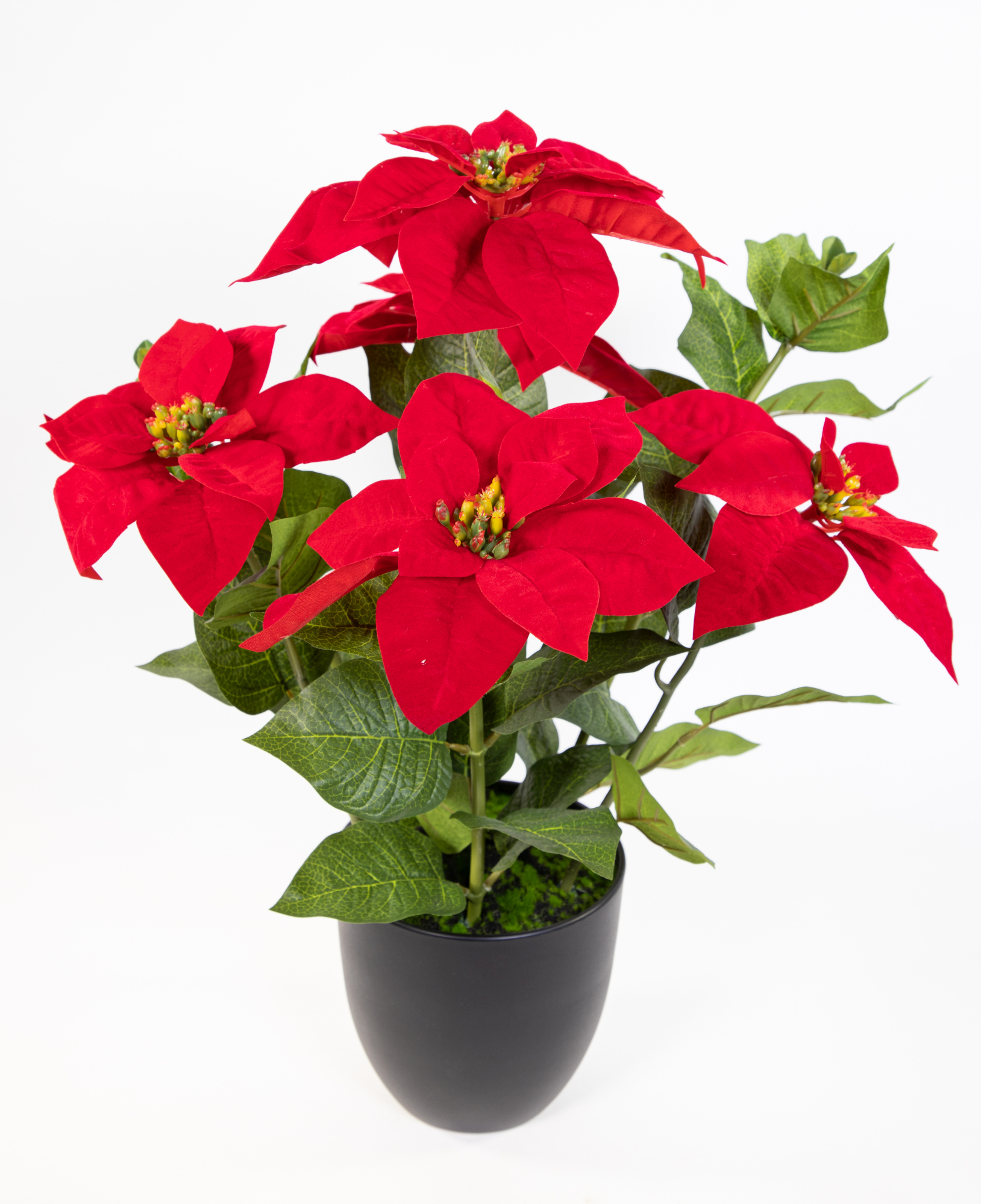 Großer Weihnachtsstern 56cm rot im schwarzen Topf DP künstliche Blume Kunstpflanze Kunstblumen Poinsettie
