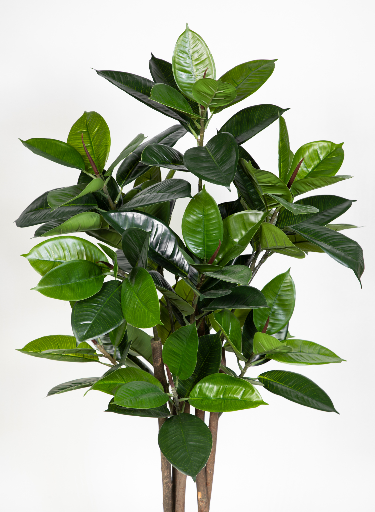 Gummibaum Real Touch 120cm grün ZJ Kunstbaum Dekobaum Kunstpflanzen  künstlicher Baum Ficus Elastica | Kunstpflanzen
