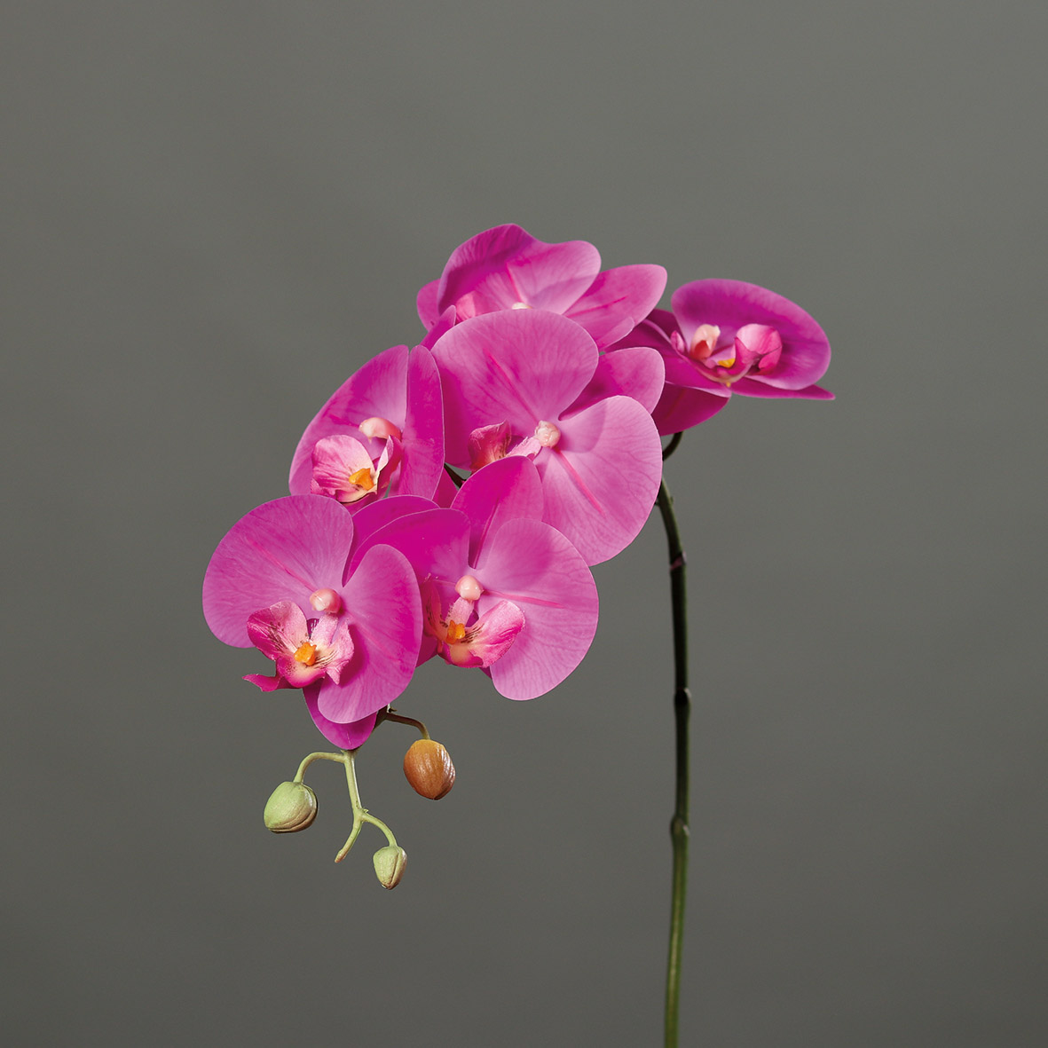 Orchideenzweig Real Touch 80cm pink DP Kunstblumen künstliche Orchidee Orchideen Blumen
