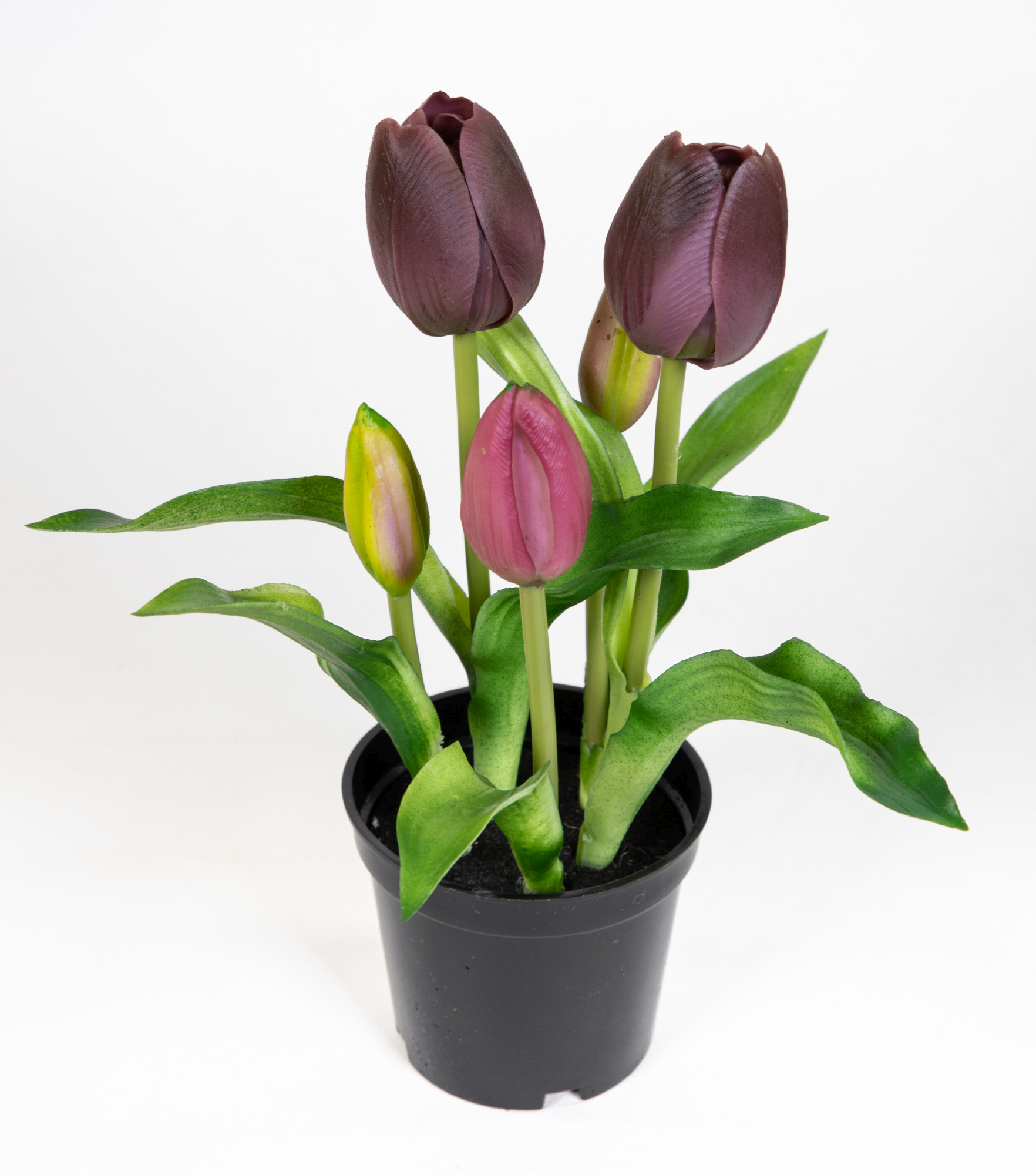 Tulpen Real Touch 24cm lila im Topf ZF Kunstpflanzen künstliche Pflanzen Tulpentopf