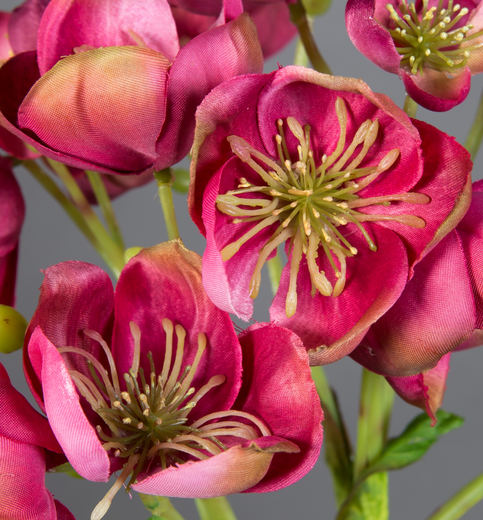 Christrose Natural Pflanzen Blumen GA 58x45cm Kunstblumen pink-rosa Helleborus Christrose künstliche