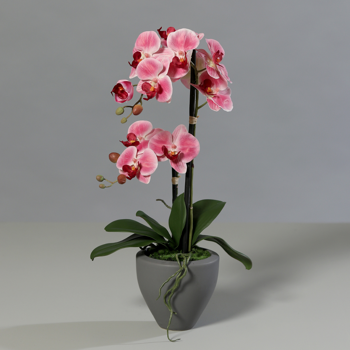 Orchidee Real Touch 62cm rosa-pink im grauen Keramiktopf DP Kunstblumen künstliche Blumen
