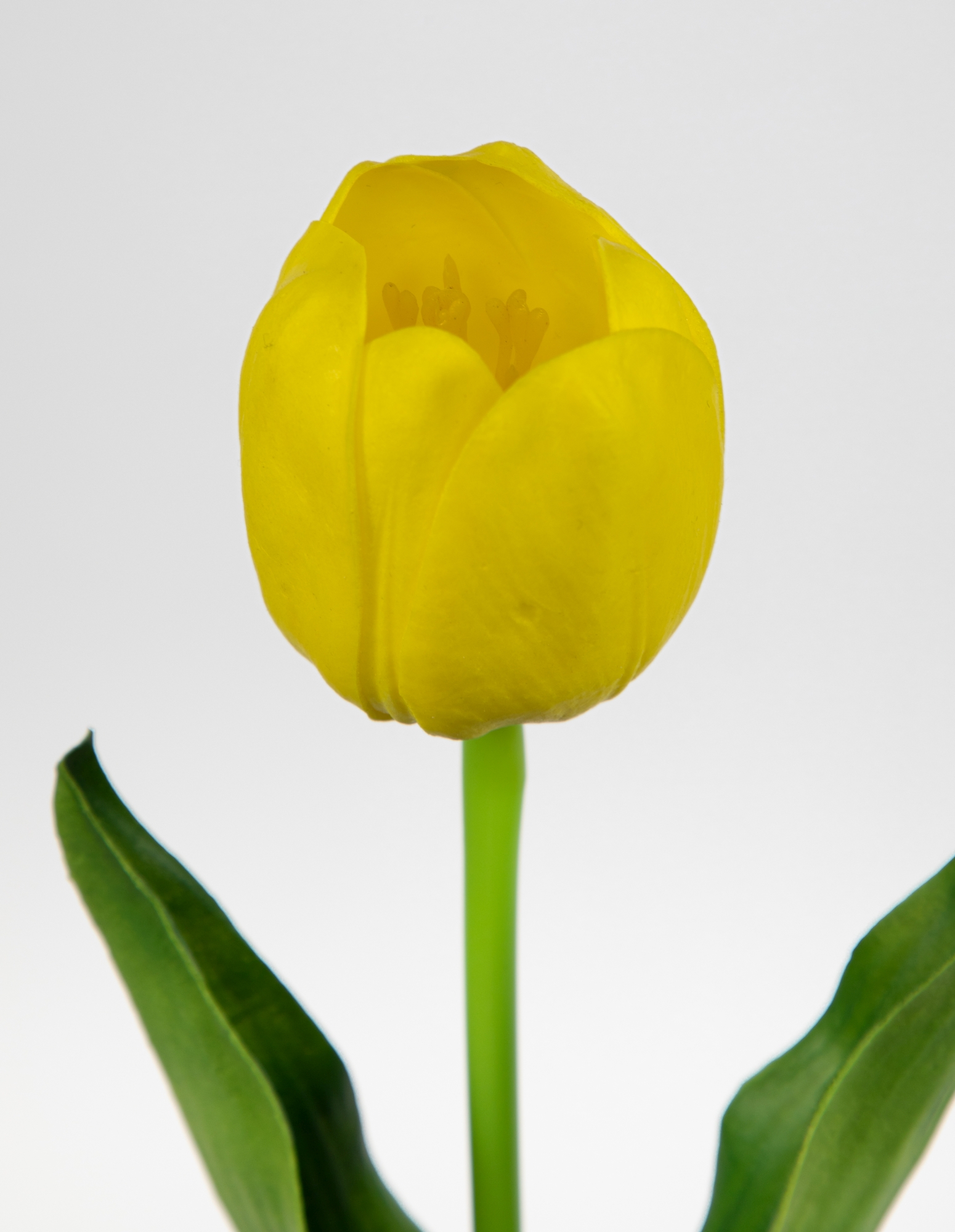 Künstliche Tulpe PU 50cm Touch Kunstblumen Blumen Tulpen künstliche ZJ gelb Real
