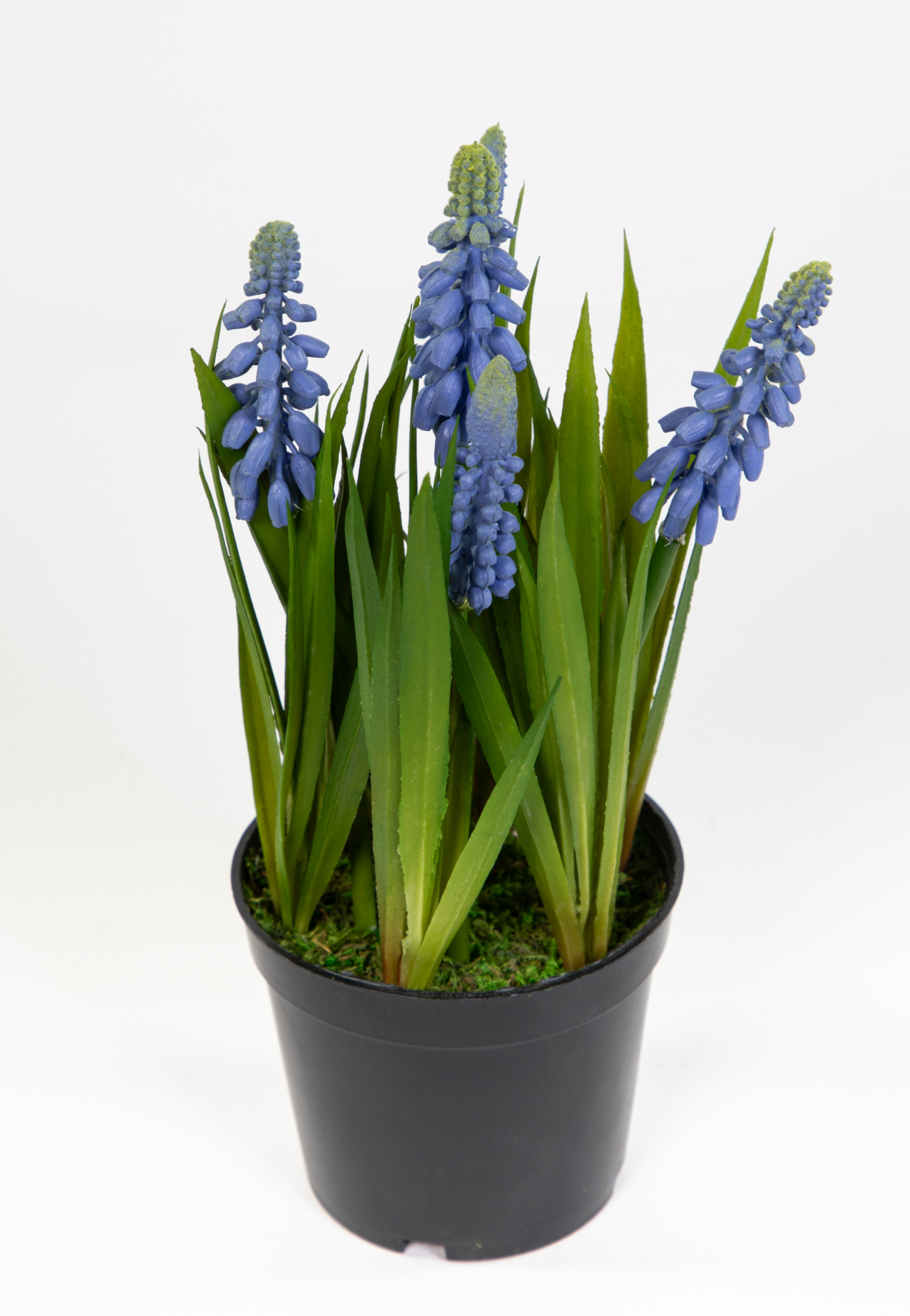 Traubenhyazinthe / Hyazinthe 22cm blau-lila im Topf JA Kunstblumen künstliche Muscari Blumen Pflanze