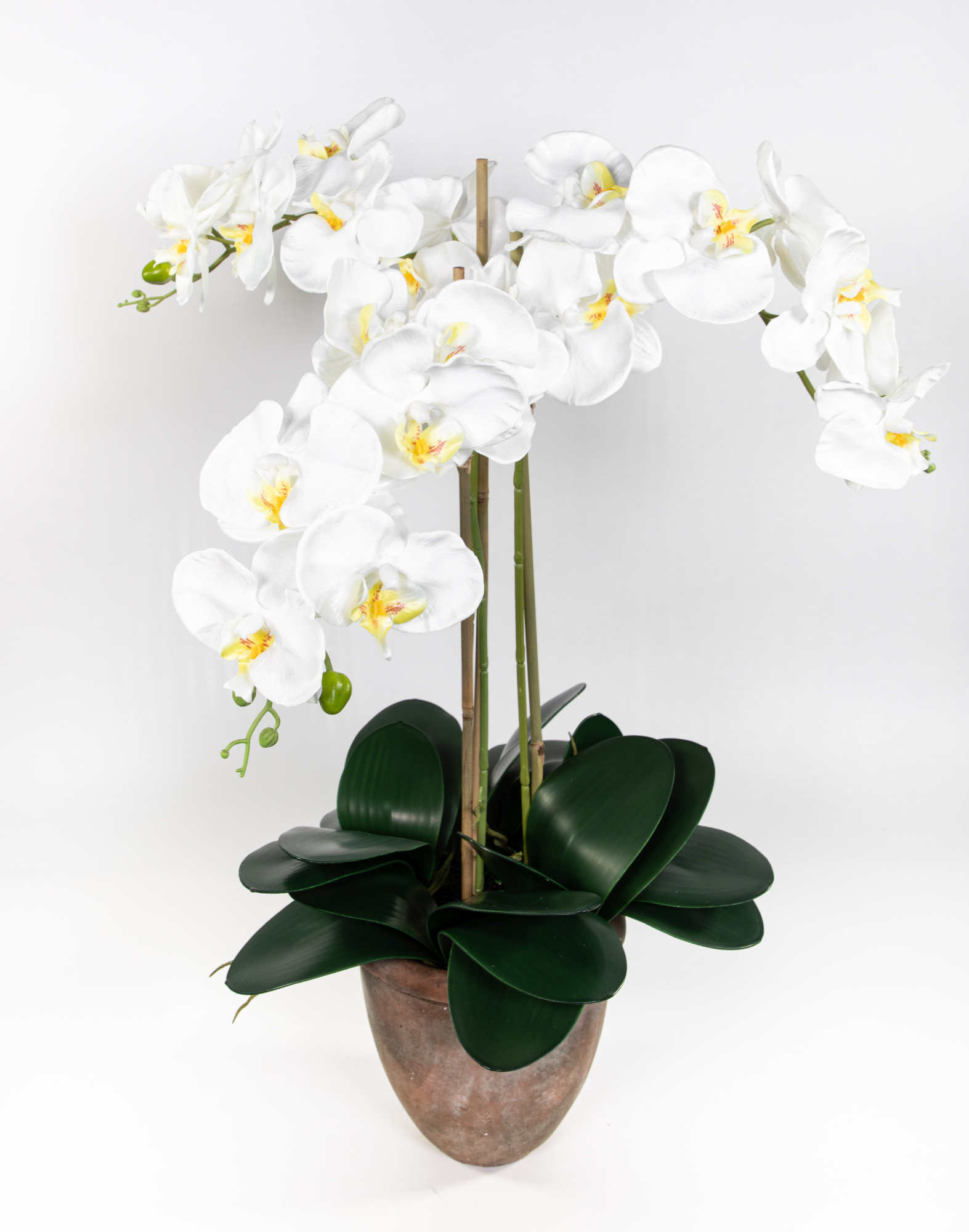 Orchidee 75x60cm weiß Blumen Terracottatopf künstliche Phalaenopsis GA im Kunstblumen