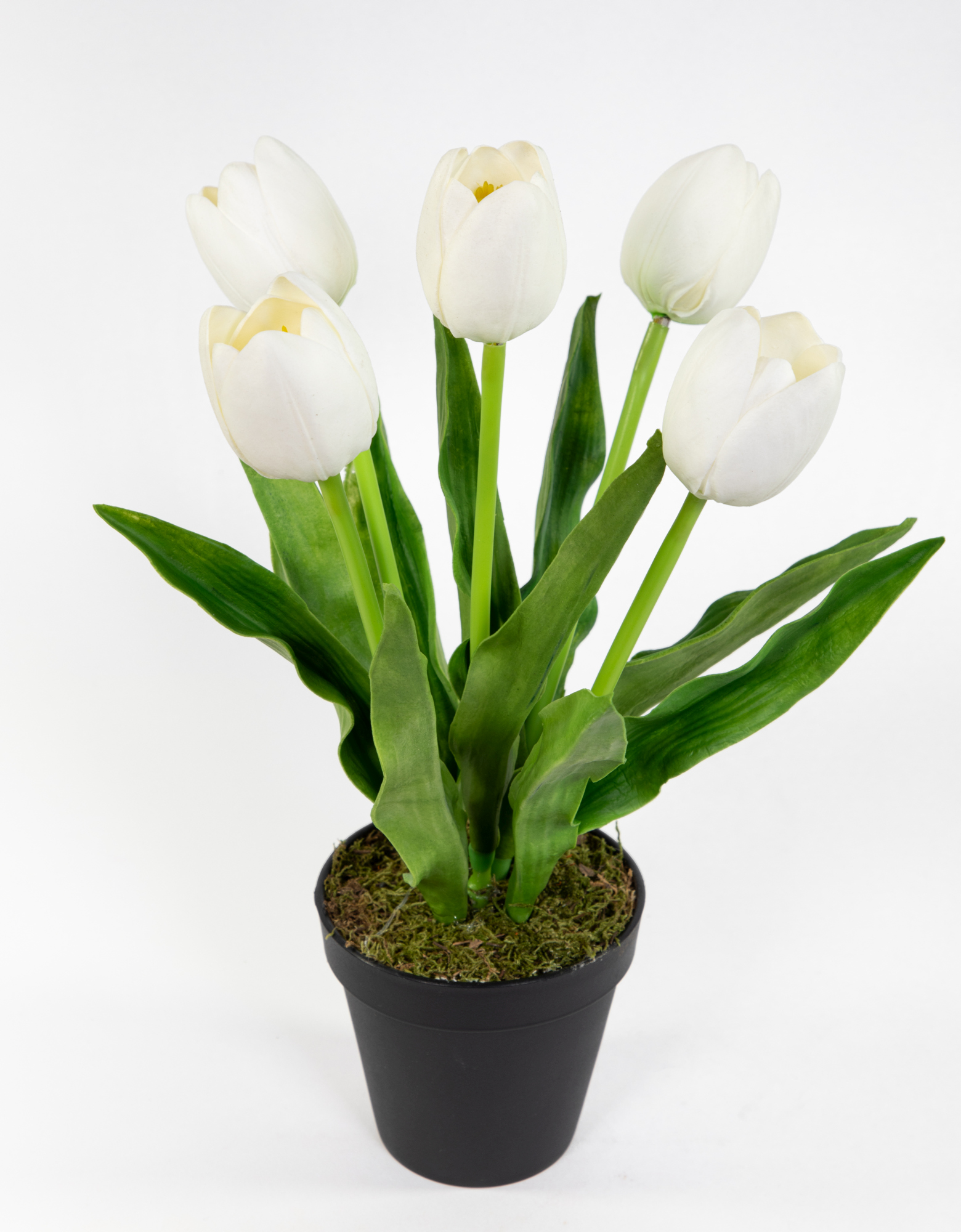 Künstliche Tulpen PU Real Topf Blumen künstliche Kunstblumen im Touch Tulpen 36cm ZF weiß