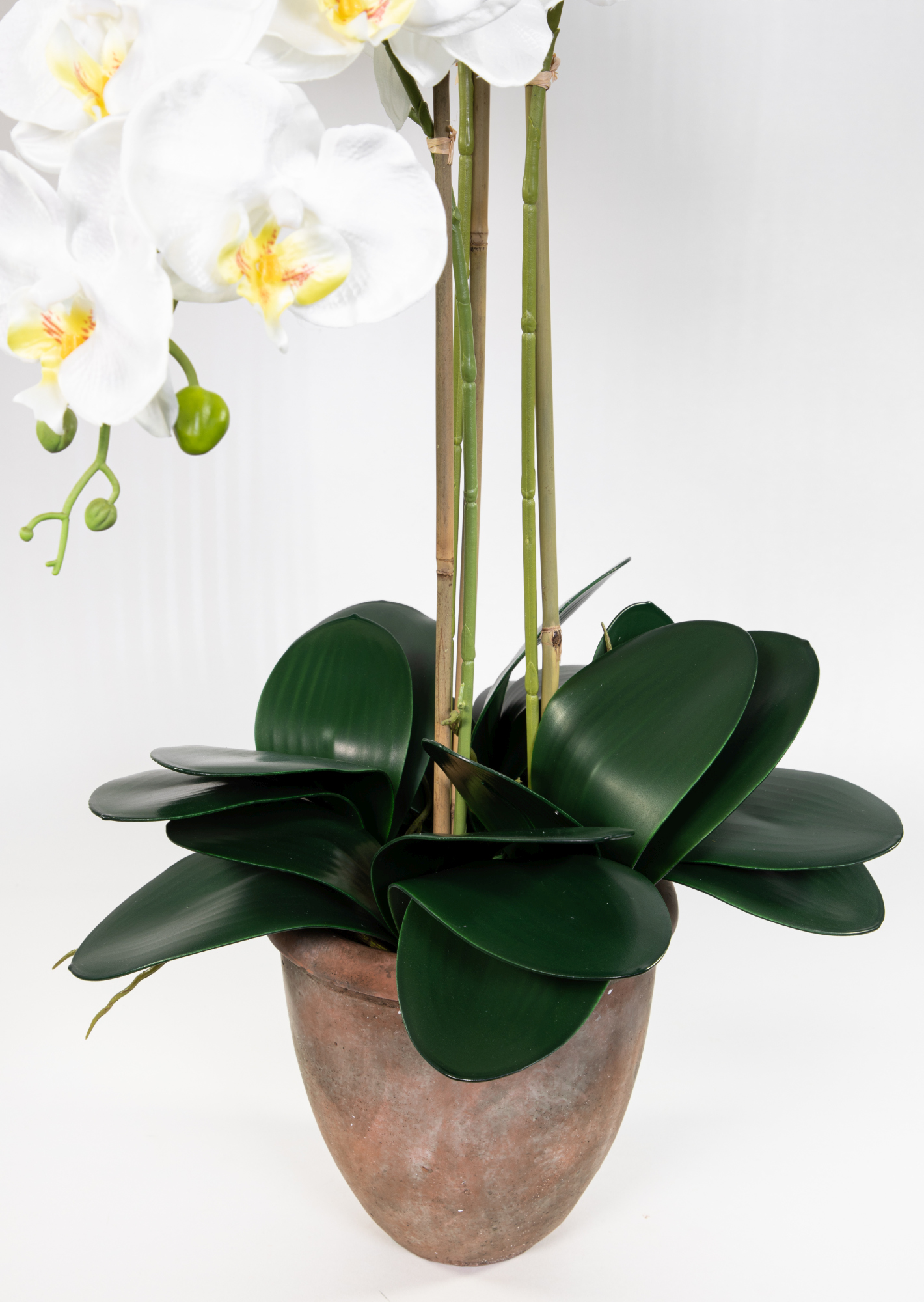 75x60cm künstliche Phalaenopsis GA im Kunstblumen Orchidee Terracottatopf weiß Blumen