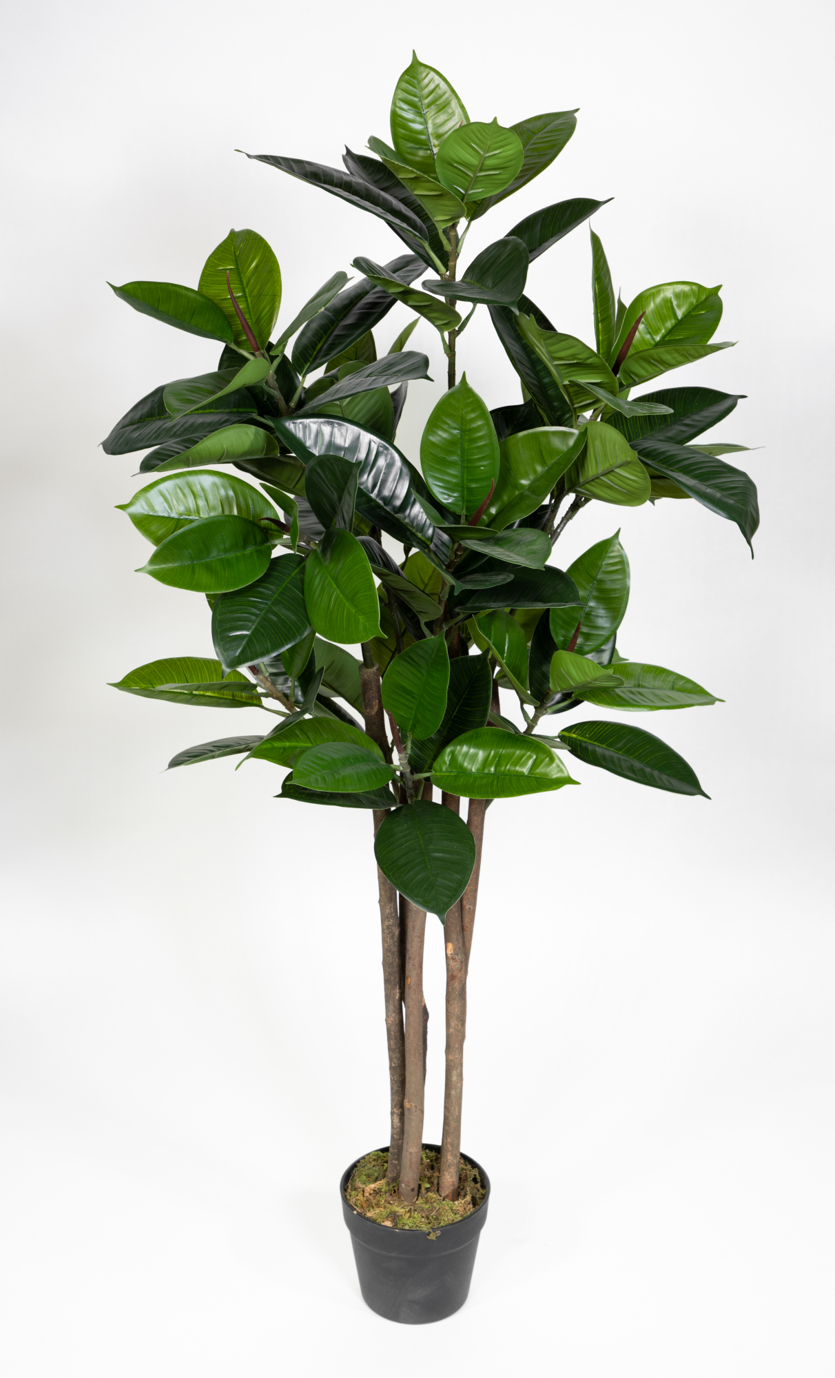 Gummibaum Real Touch 120cm grün Kunstbaum Kunstpflanzen Ficus ZJ Baum künstlicher Dekobaum Elastica