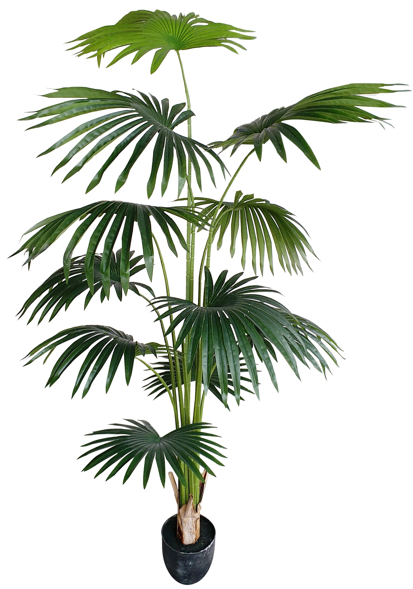 Fächerpalme Real Touch 180cm BE künstliche Palmen Kunstpalmen Kunstpflanzen Dekopalme