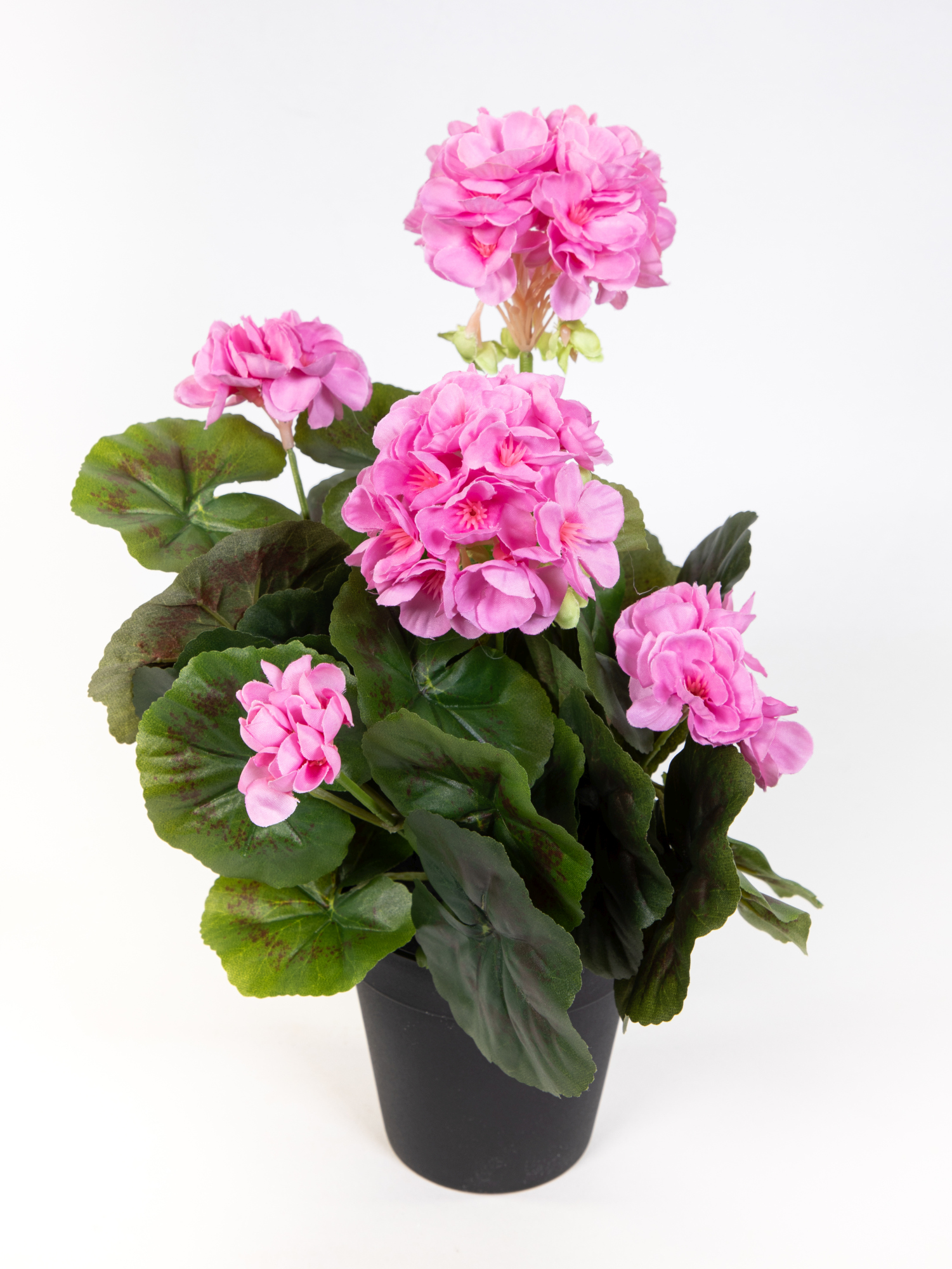 Künstliche Geranie im Topf 35cm rosa LM Kunstblumen künstliche Pelargonium Blumen Pflanzen
