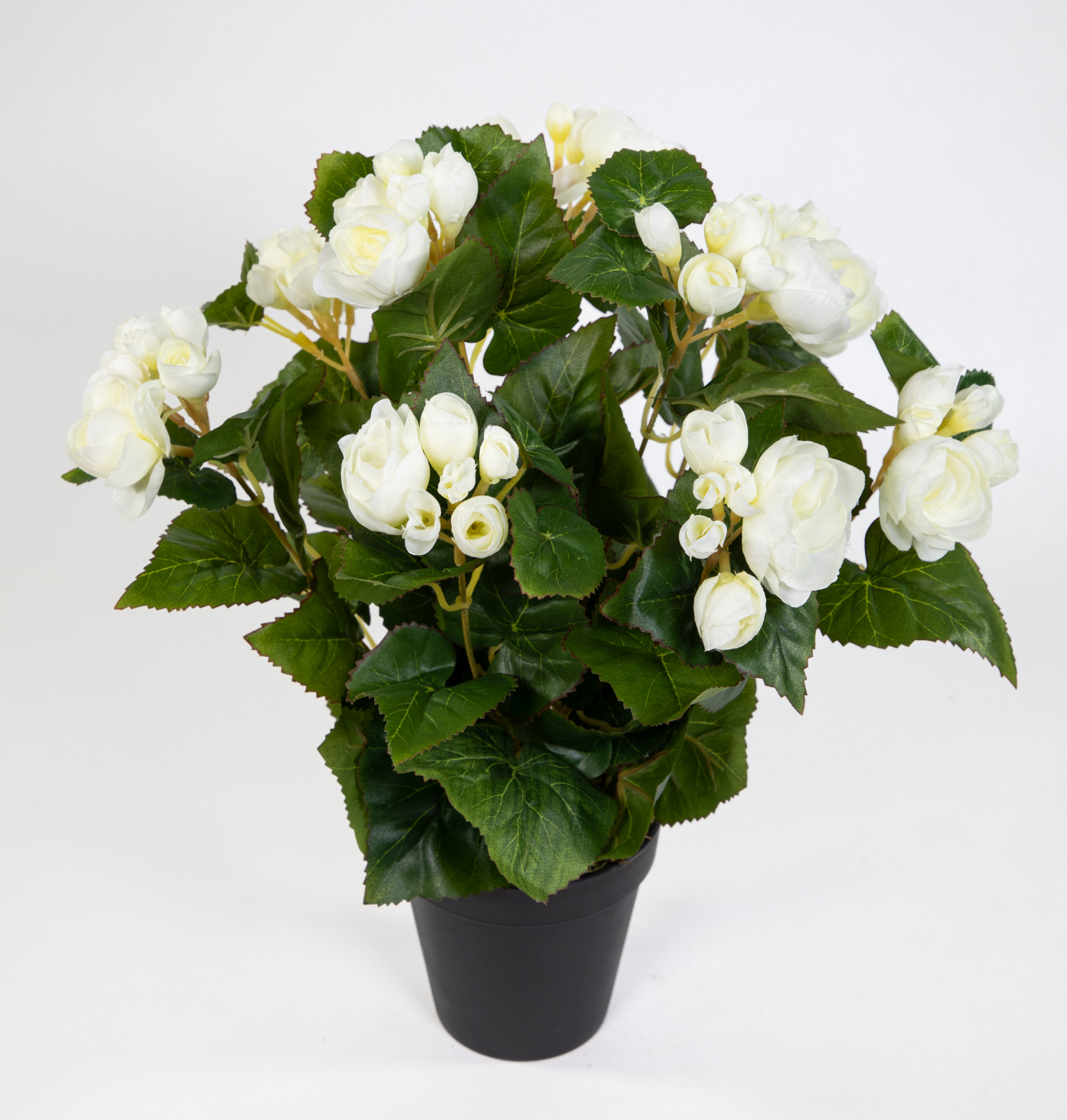 Begonie 38cm im LM künstlicher weiß Kunstpflanzen Begonienbusch künstliche Pflanze Topf Kunstblumen