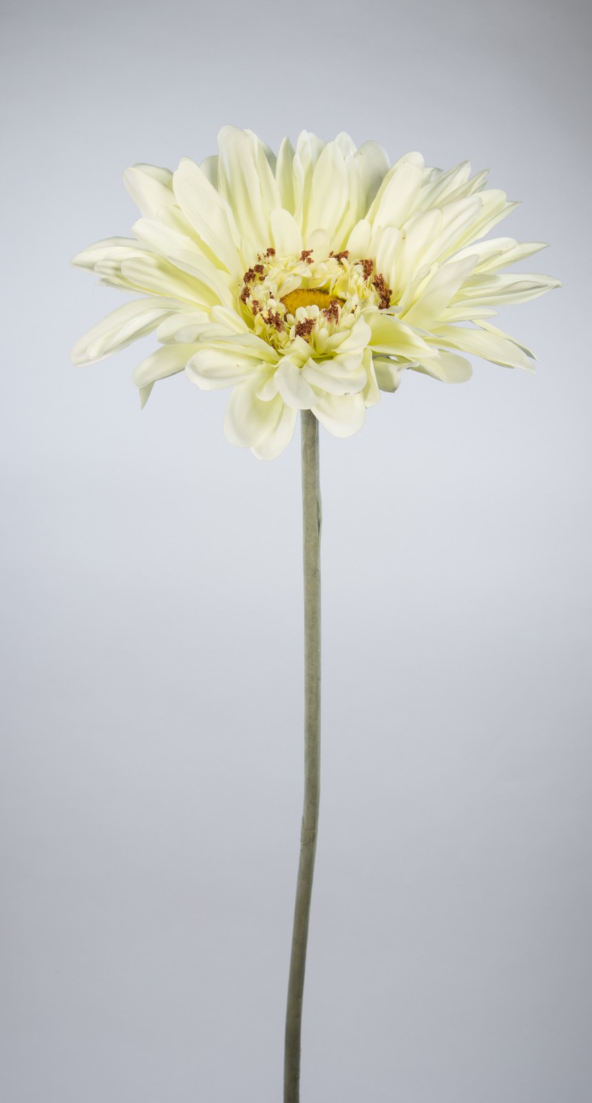 Große Deko-Gerbera 110cm weiß-creme JA Kunstblumen Seidenblumen künstliche Blumen Gerbera