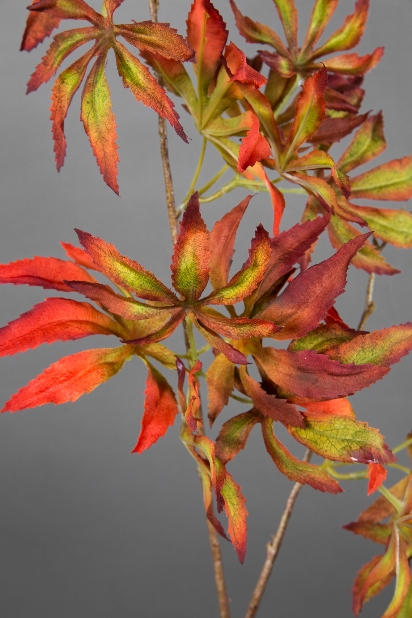 Kunstpflanzen Ahornzweig künstlicher Ahorn Zweig rot-orange-grün 80cm CG
