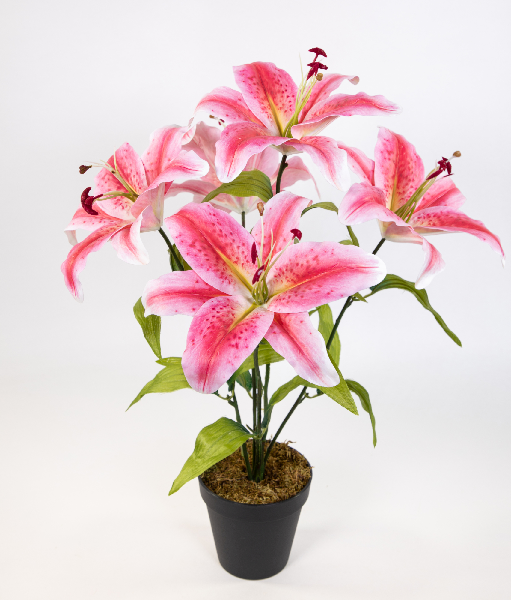 Lilie Real Touch 50cm rosa-pink im Topf DP Kunstblumen Kunstpflanzen künstliche Blumen Pflanze