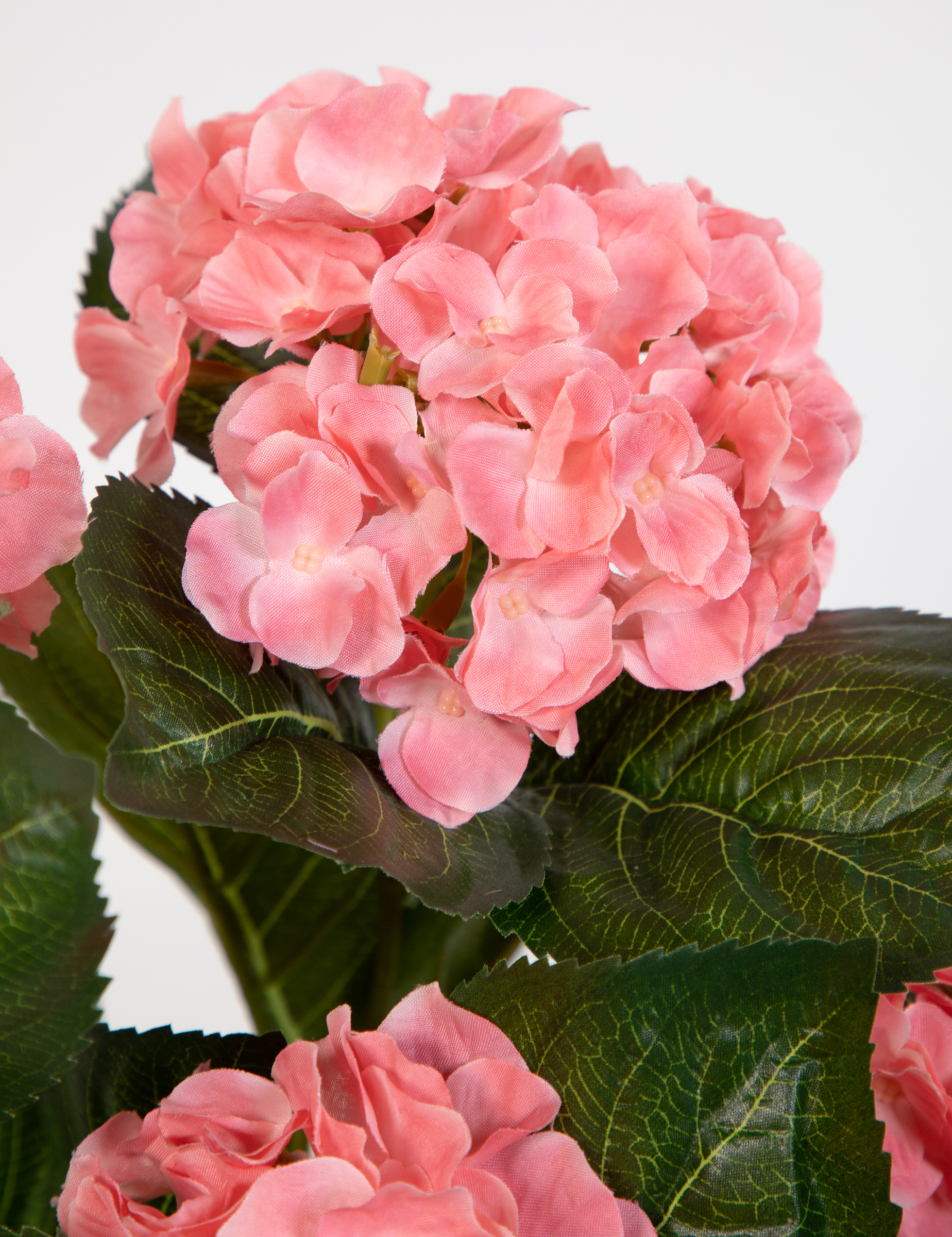 Hortensienbusch Deluxe 42cm LM künstliche rosa-pink Pflanzen Kunstpflanzen Topf Hortensie im Blumen