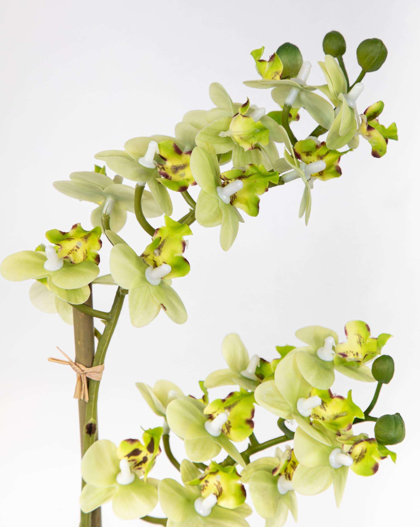 Orchidee Real Touch 38x22cm künstliche Keramikvase grün in Kunstblumen Blumen GA weißer