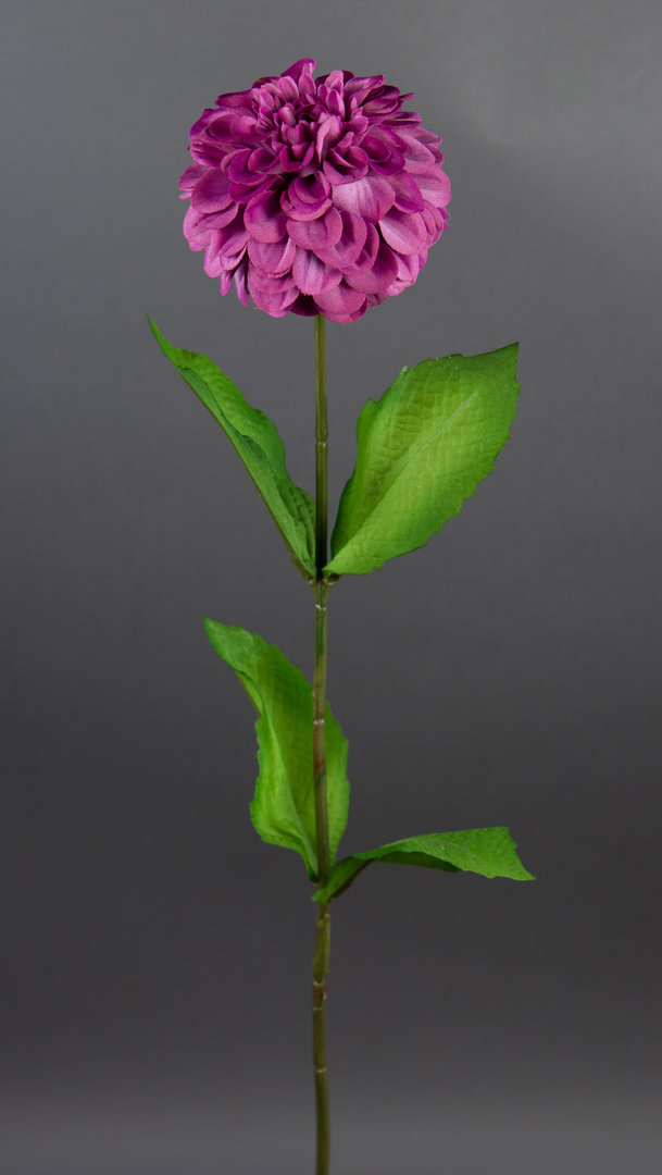 Dahlienzweig 66cm fuchsia CG Kunstblumen künstliche Dahlienzweig Blumen Seidenblumen