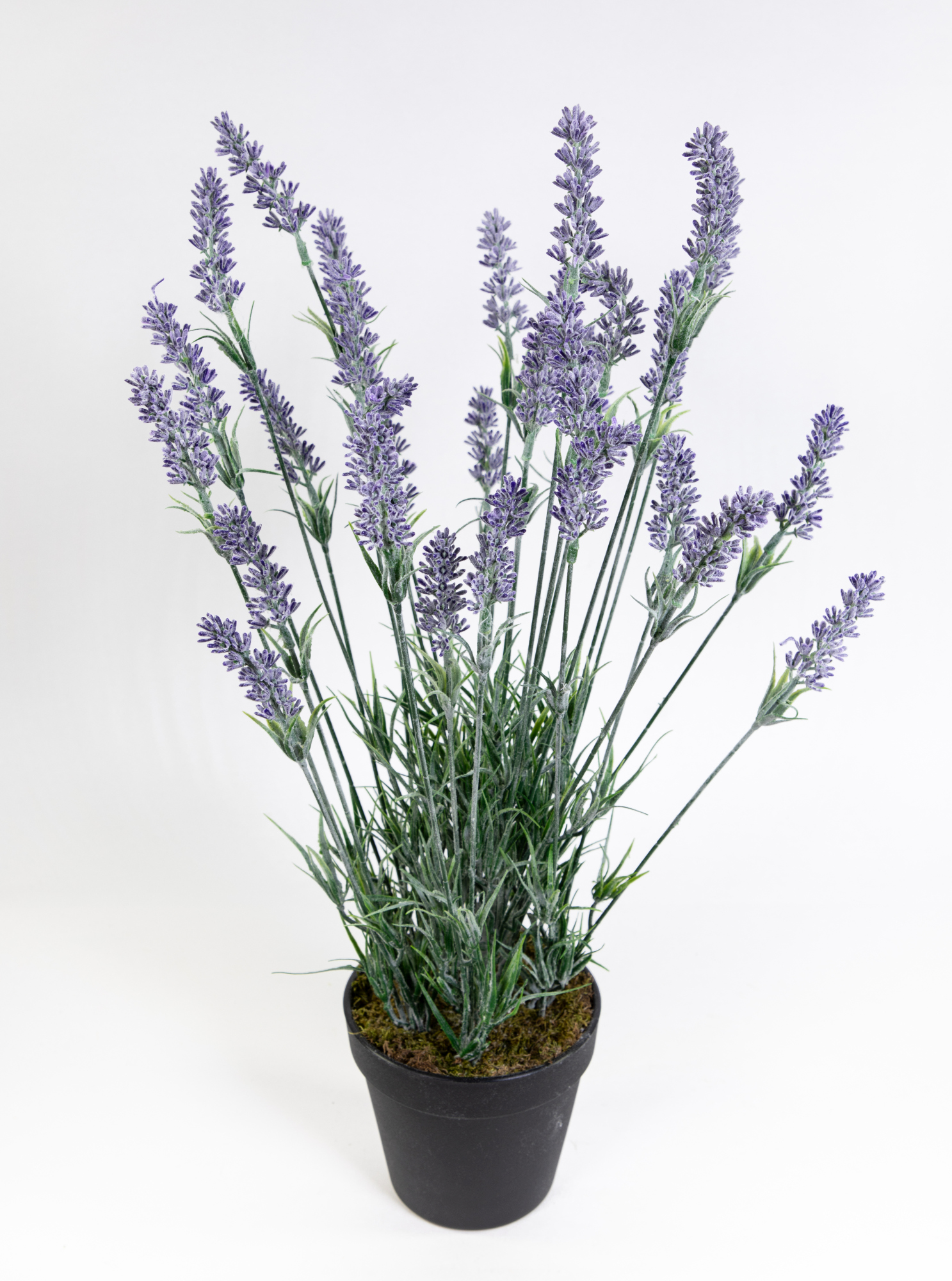 Künstlicher Lavendelbusch / Lavendel 54cm im Topf FI Kunstpflanzen Kunstblumen Blumen Pflanzen
