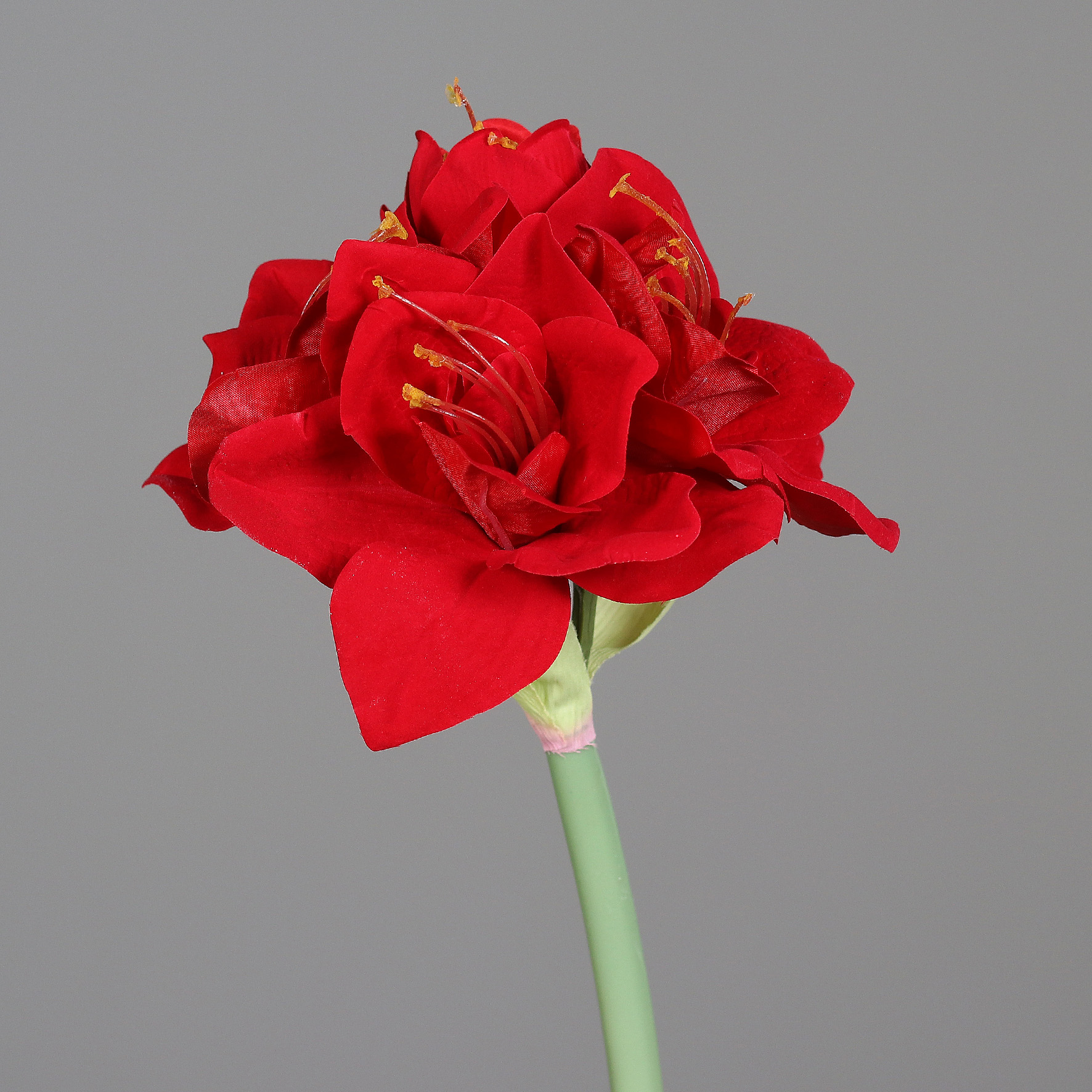 Amaryllis Real Touch 62cm rot DP Kunstblumen künstliche Blumen Pflanzen