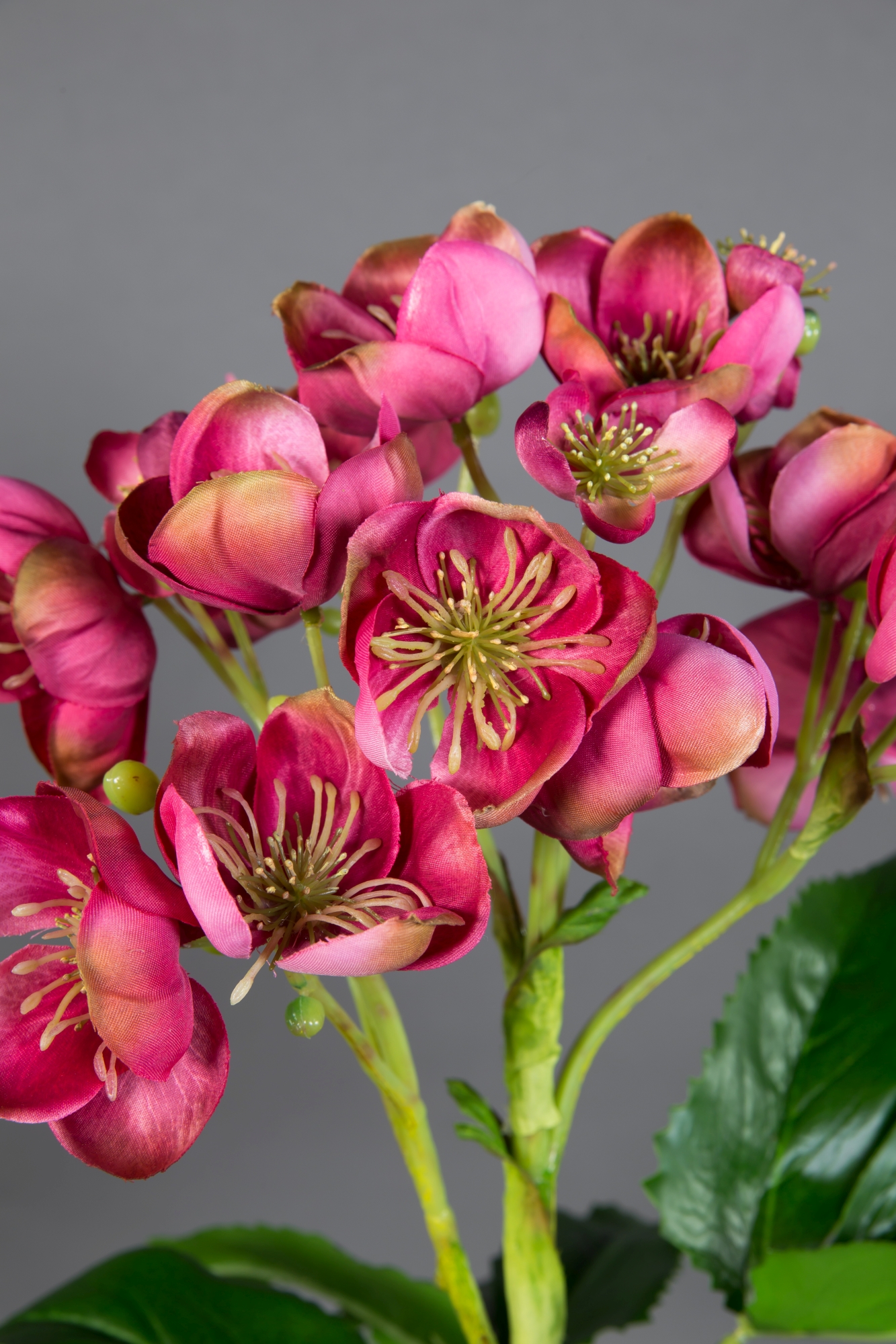 Christrose künstliche Kunstblumen Natural Blumen Helleborus Pflanzen pink-rosa GA Christrose 58x45cm