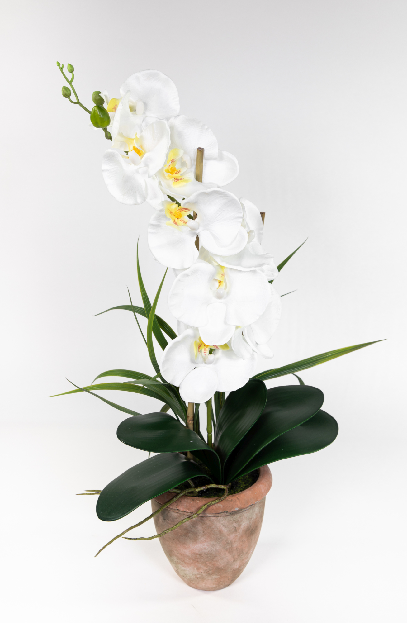 Orchidee 60cm weiß im Terracottatopf GA künstliche Phalaenopsis Blumen Kunstblumen