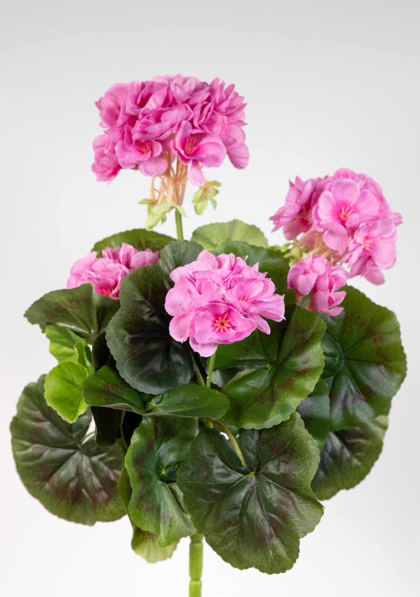 Geranie 32cm rosa -ohne Topf- LM Kunstpflanzen künstliche Blumen Pflanzen Kunstblumen