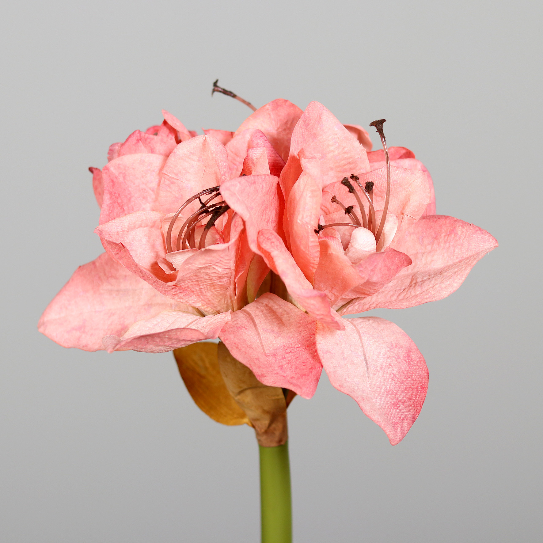 Amaryllis Deluxe 74cm rosa DP Kunstblumen künstlicher Ritterstern Blumen Pflanzen