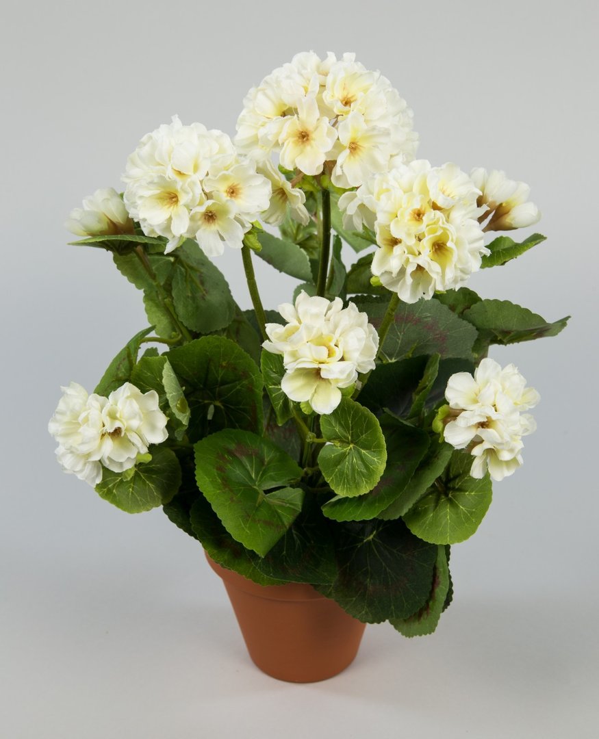 Geranie 36cm weiß-creme -ohne Topf- LM Kunstpflanzen künstliche Blumen  Pflanzen Kunstblumen