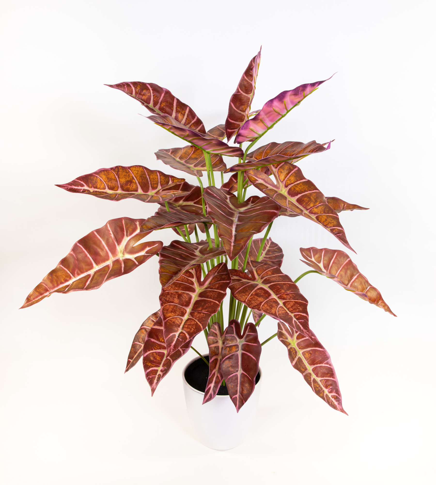 Alocasia Micholitziana -Frydek- 72cm braun-rot-grün im Topf GA Kunstpflanzen Dekopflanzen künstliche Pflanzen