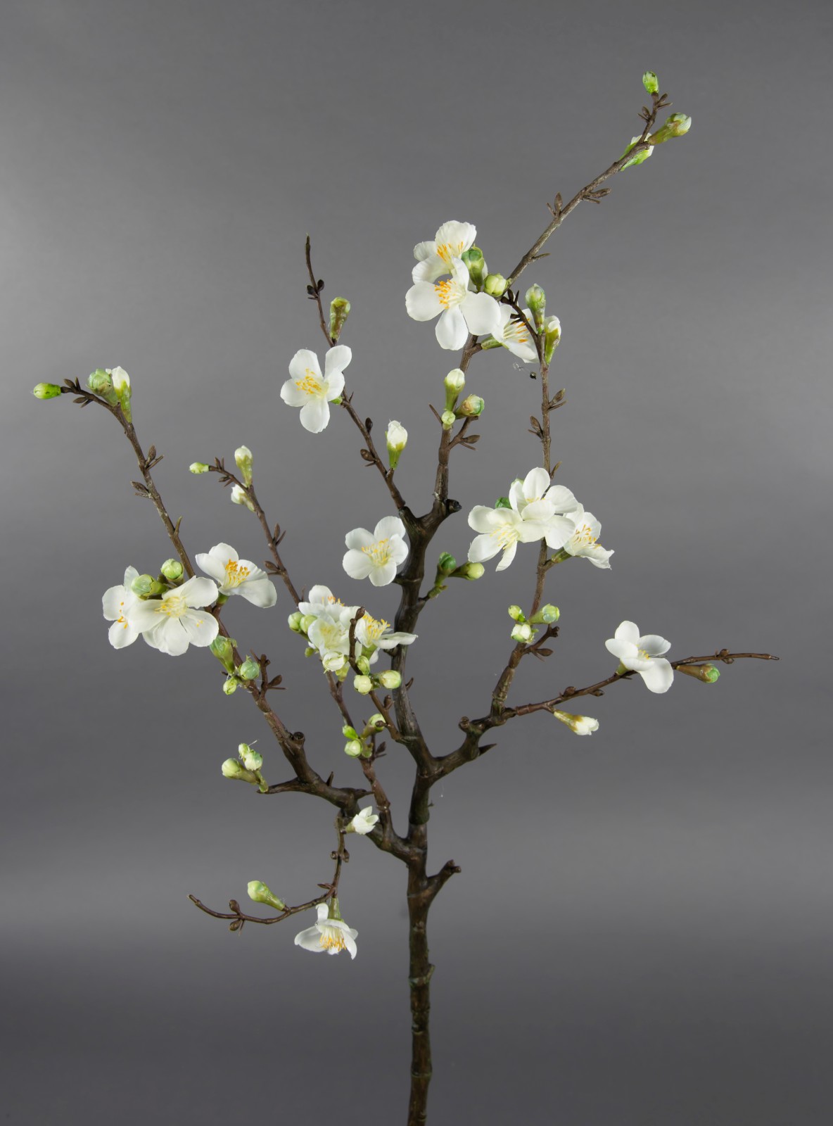 Kirschblütenzweig / Ast 75x30cm weiß GA Kunstblumen Seidenblumen künstliche Kirschblüten Zweige Blumen