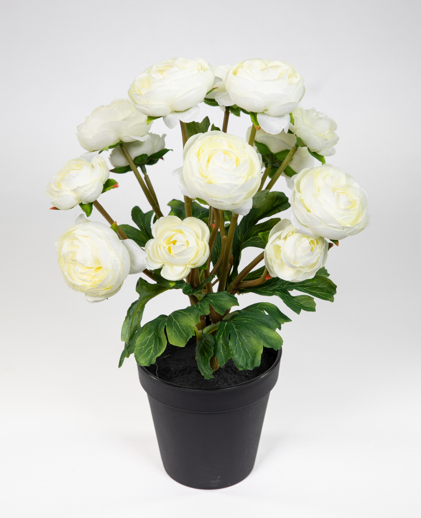 Ranunkelbusch Natural 32cm weiß im Topf DP Kunstpflanzen Kunstblumen künstliche Ranunkel Blumen