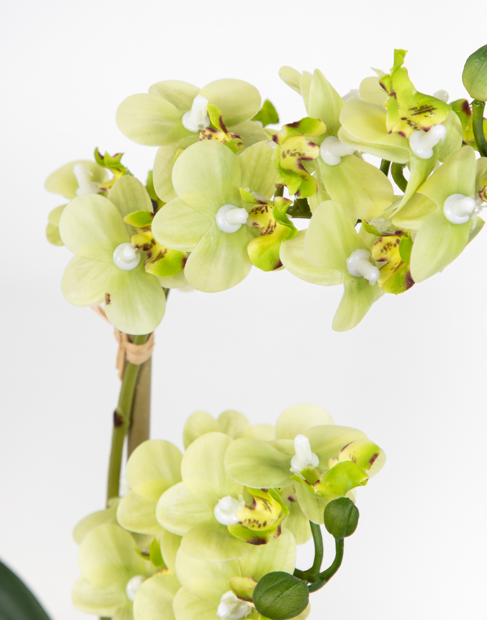 Orchidee Real Touch 38x22cm grün in künstliche Kunstblumen Keramikvase Blumen GA weißer