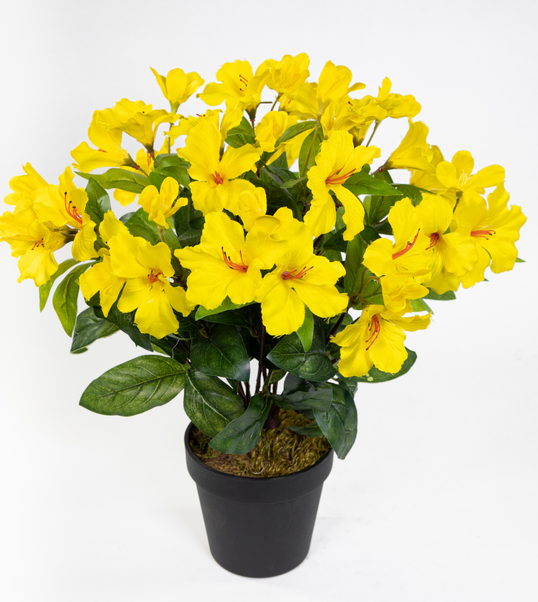 Großer Hibiskus 42cm gelb im Topf ZF künstliche Pflanze künstlicher Eibisch Kunstblume Kunstpflanzen