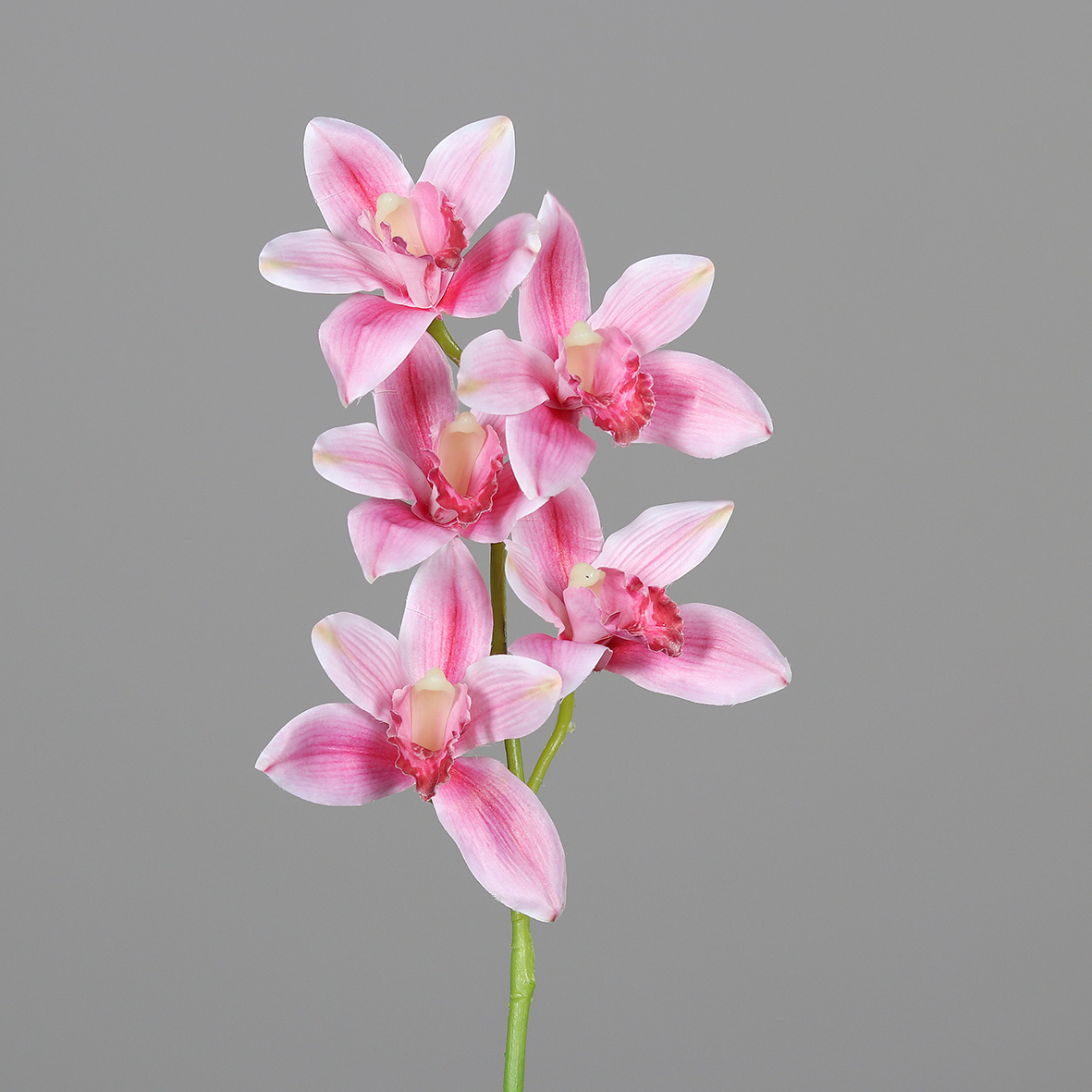 Cymbidie 65cm rosa-pink DP Kunstlbumen künstliche Orchiedee Orchideenzweig Blumen