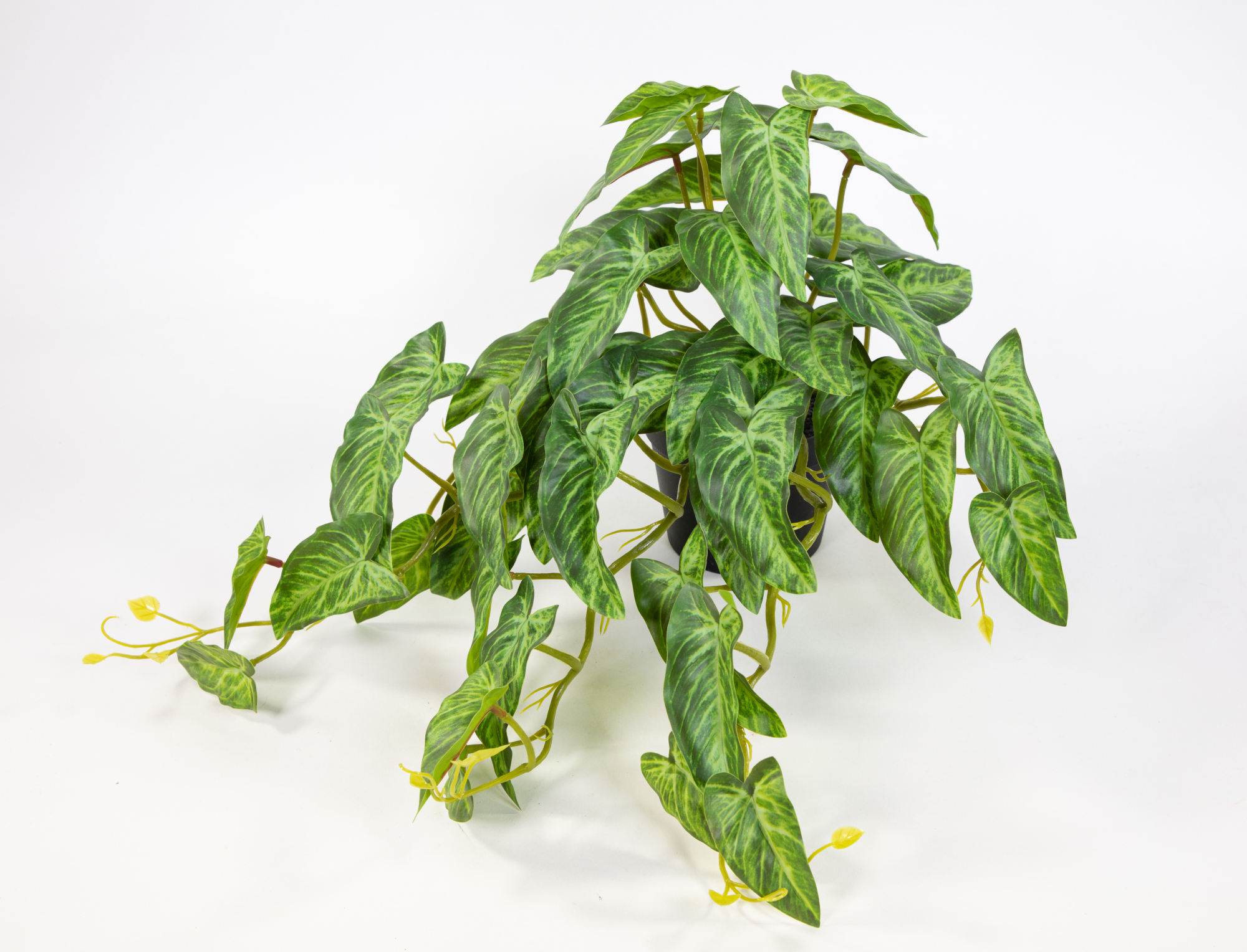 Alocasia Busch / Hänger 45x30x26cm grün-hellgrün im Topf GA künstliche Pflanzen Kunstpflanzen Dekopflanzen