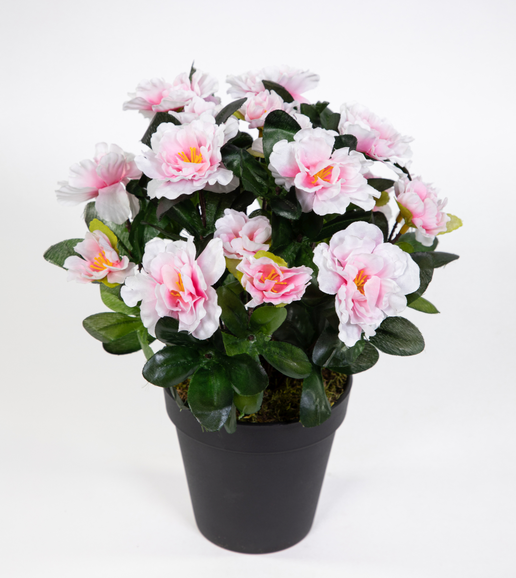 Azalee 24cm pink-weiß im Topf LA künstliche Blumen Pflanzen Kunstpflanzen Kunstblumen