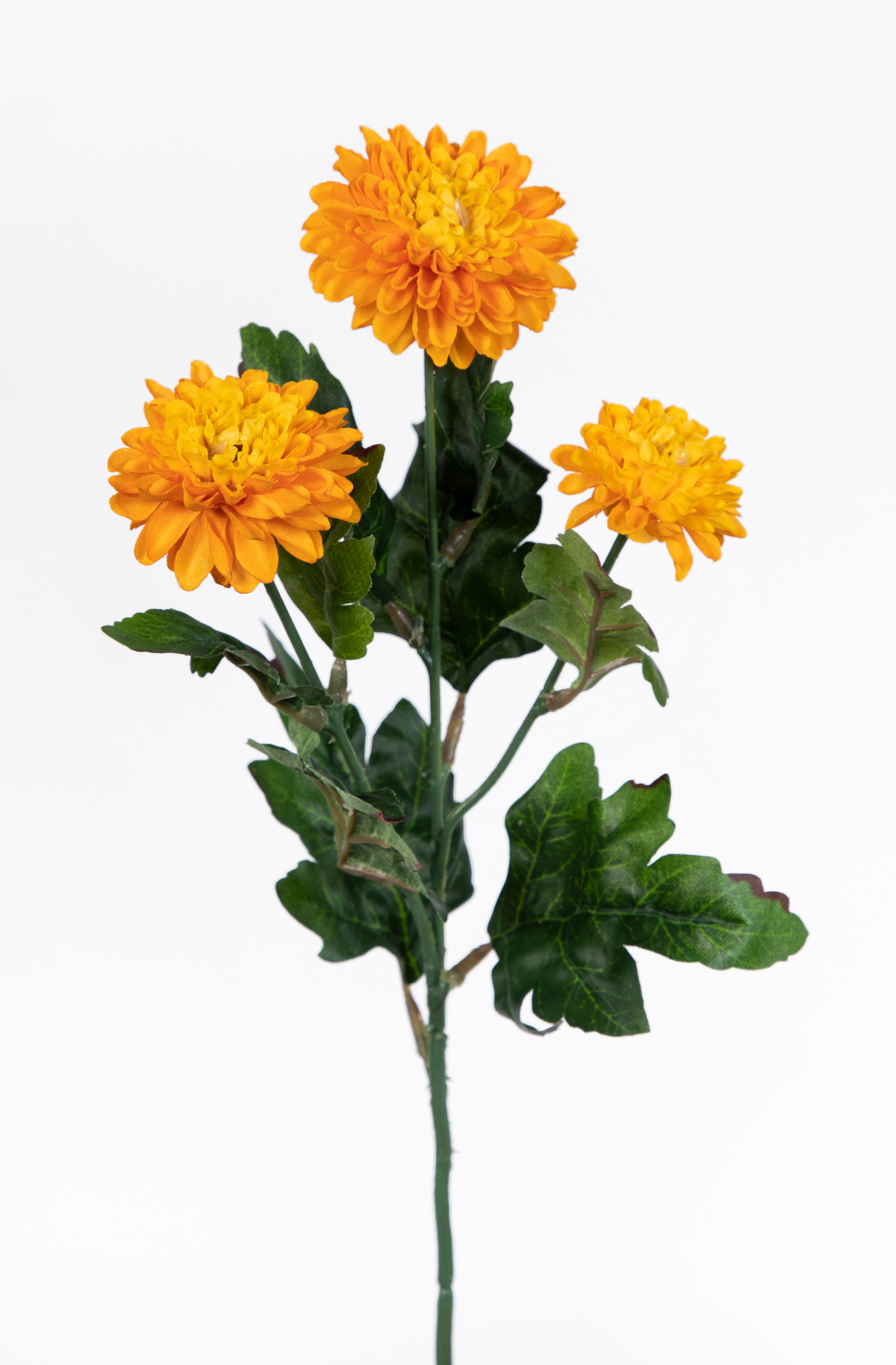 Asternzweig 54cm gelb-orange CG Kunstblumen künstliche Aster Blumen Korbblütler Asteraceae