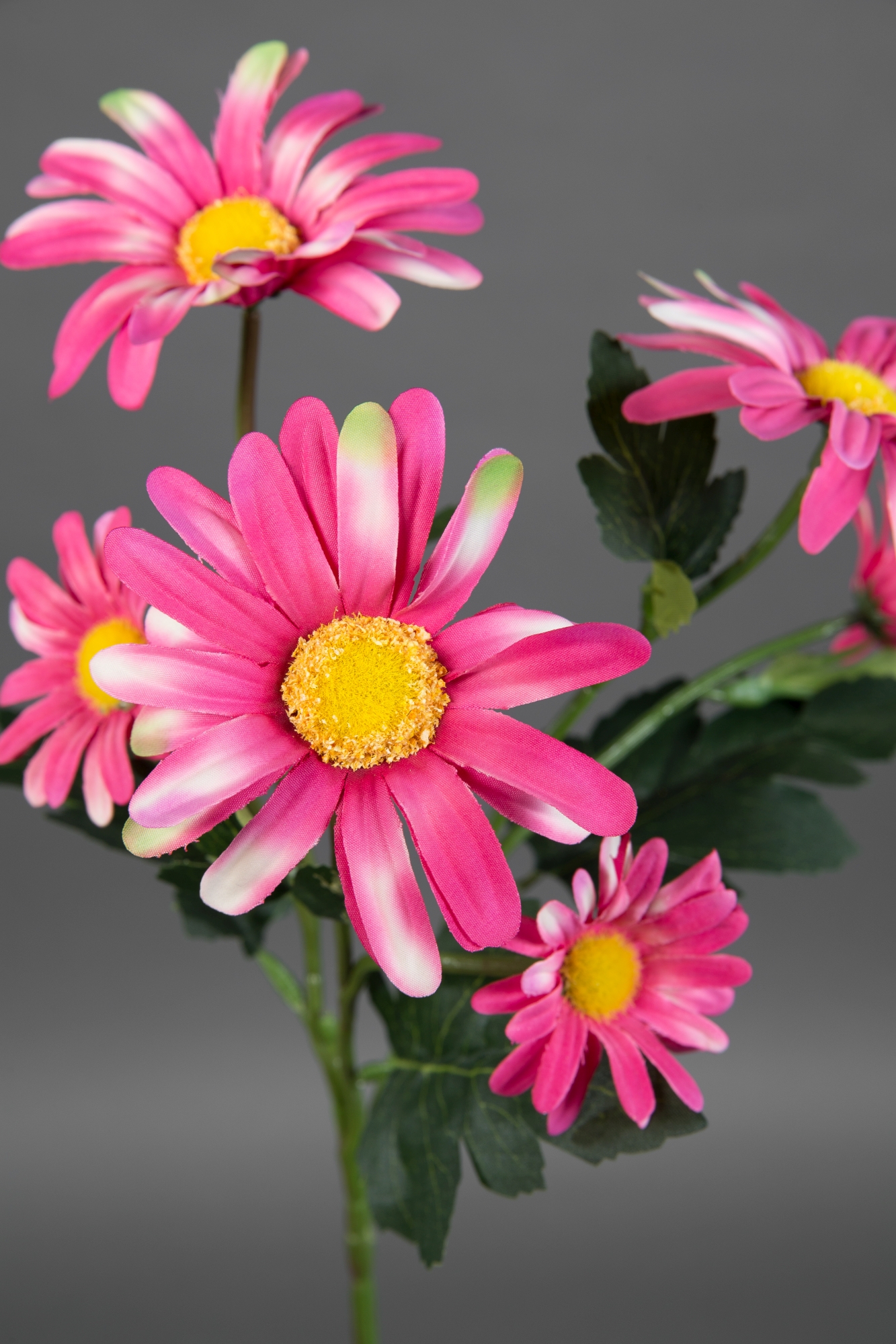 Margeritenzweig 60cm rosa-pink Margerite LM Kunstblumen künstliche Blumen