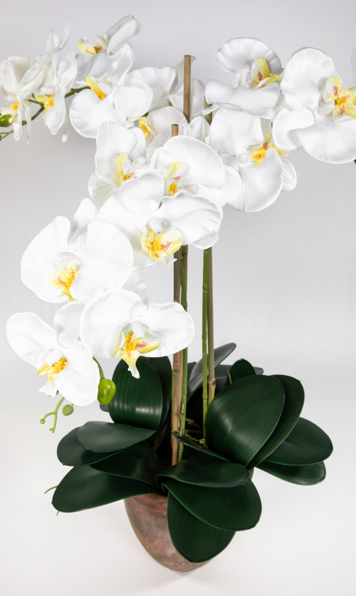 Orchidee 75x60cm weiß künstliche Phalaenopsis Terracottatopf GA Kunstblumen im Blumen