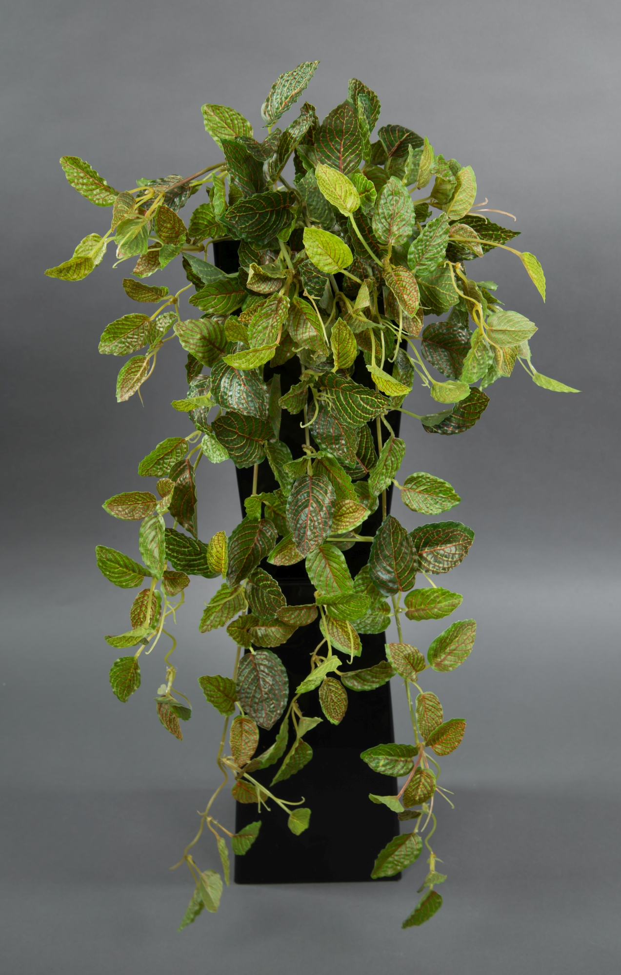 Fittonien-Ranke / Mosaik-Ranke Real Touch 65cm grün-rot ZF Kunstpflanzen künstliche Pflanzen