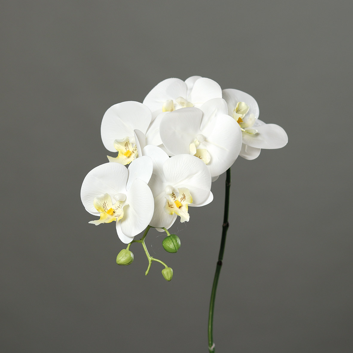 Orchideenzweig Real Touch 80cm weiß DP Kunstblumen künstliche Orchidee Orchideen Blumen