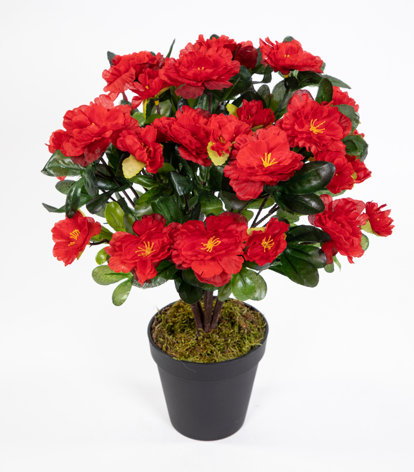 Azalee 34cm rot Kunstpflanzen Topf Kunstblumen im Blumen Pflanzen Azaleenbusch künstliche LA Azaleen